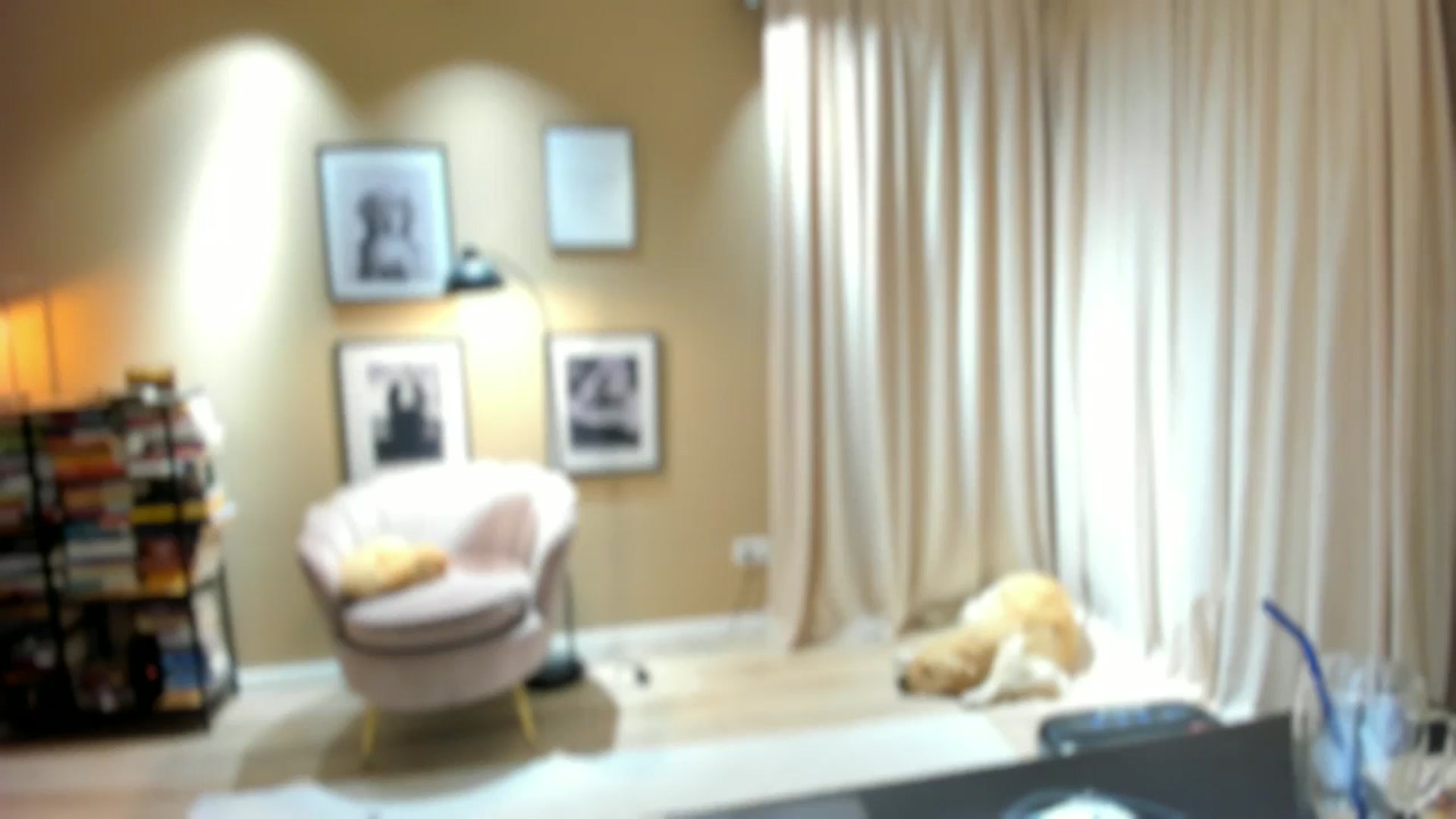 Gallery image thumbnail from SerenDYpity's myfreecams stream on, 11/26/2025, 18:10 image 12 of 20