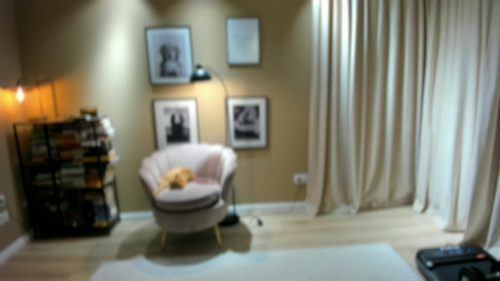 Gallery image thumbnail from SerenDYpity's myfreecams stream on, 11/26/2025, 18:10 image 1 of 20