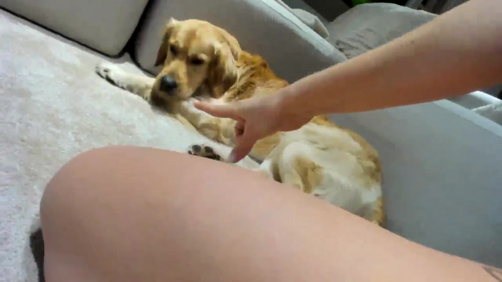 Gallery image thumbnail from SerenDYpity's myfreecams stream on, 03/23/2026, 17:42 image 13 of 20