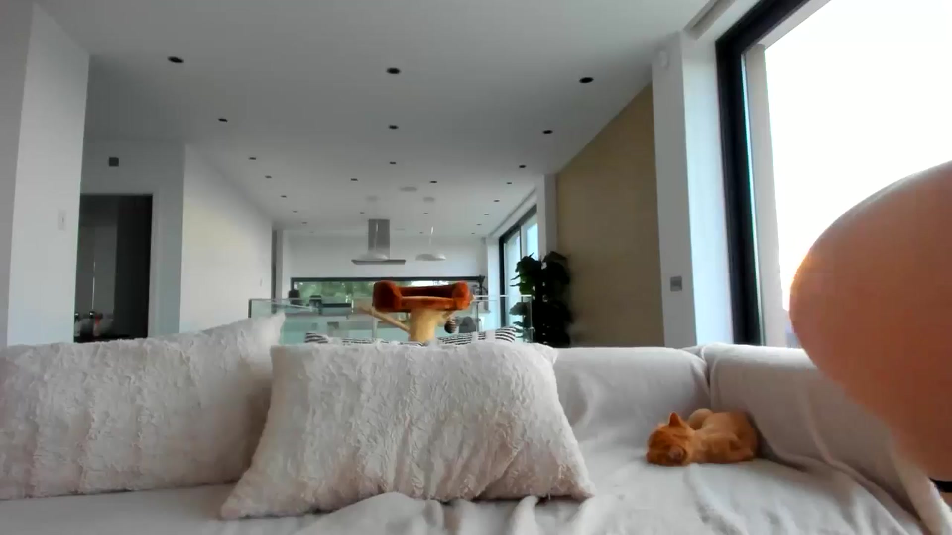 Gallery image thumbnail from SerenDYpity's myfreecams stream on, 04/11/2026, 16:36 image 11 of 20