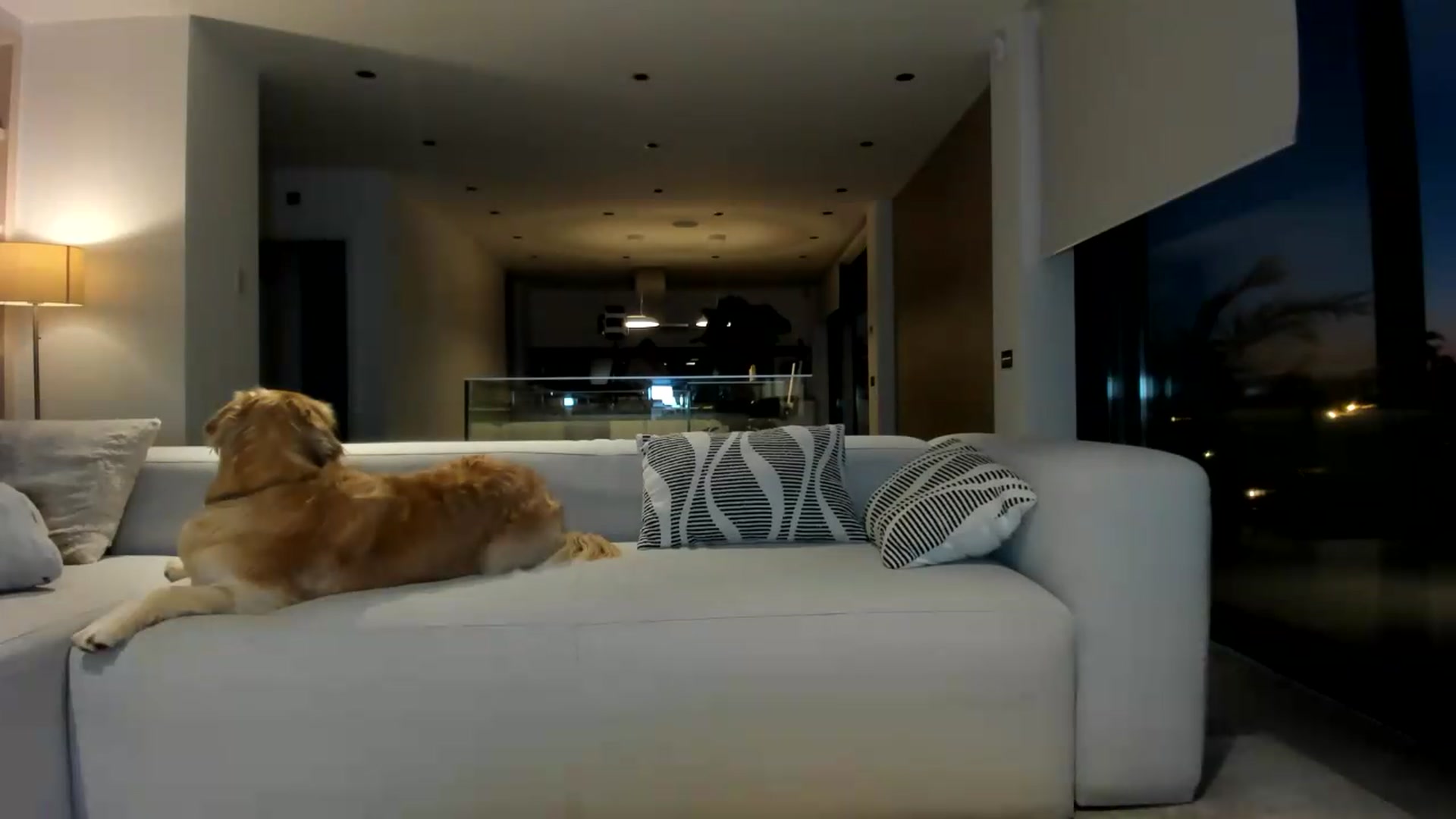 Gallery image thumbnail from SerenDYpity's myfreecams stream on, 05/23/2026, 19:10 image 5 of 20
