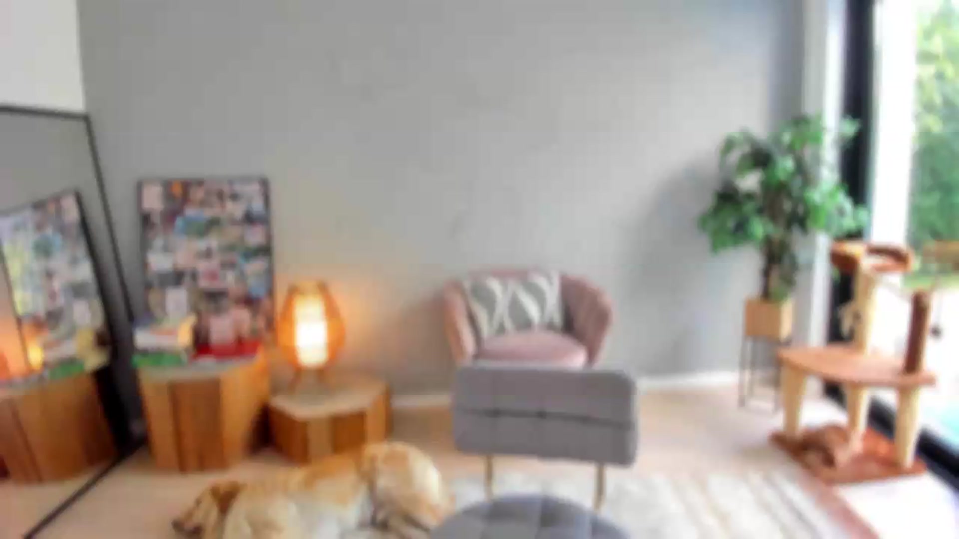 Gallery image thumbnail from SerenDYpity's myfreecams stream on, 08/02/2026, 15:09 image 19 of 20