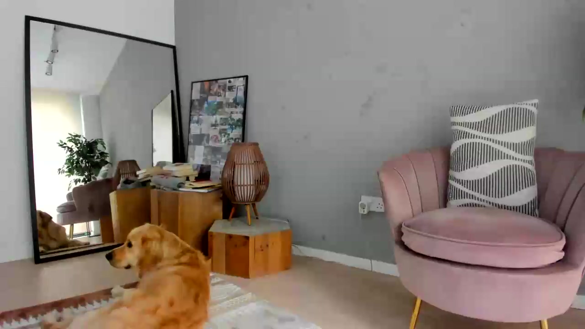 Gallery image thumbnail from SerenDYpity's myfreecams stream on, 08/09/2026, 13:30 image 12 of 20