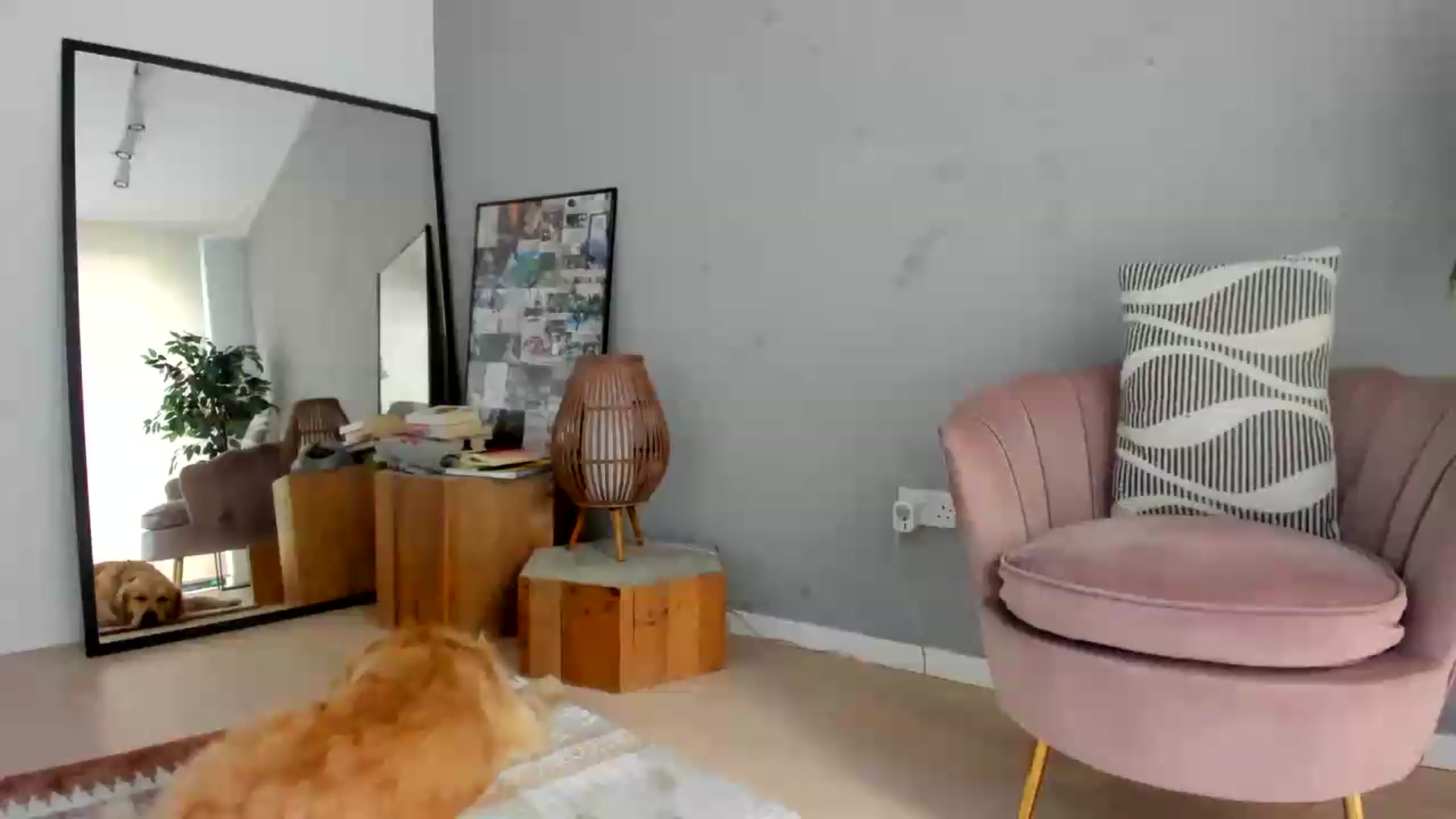 Gallery image thumbnail from SerenDYpity's myfreecams stream on, 08/09/2026, 13:30 image 1 of 20