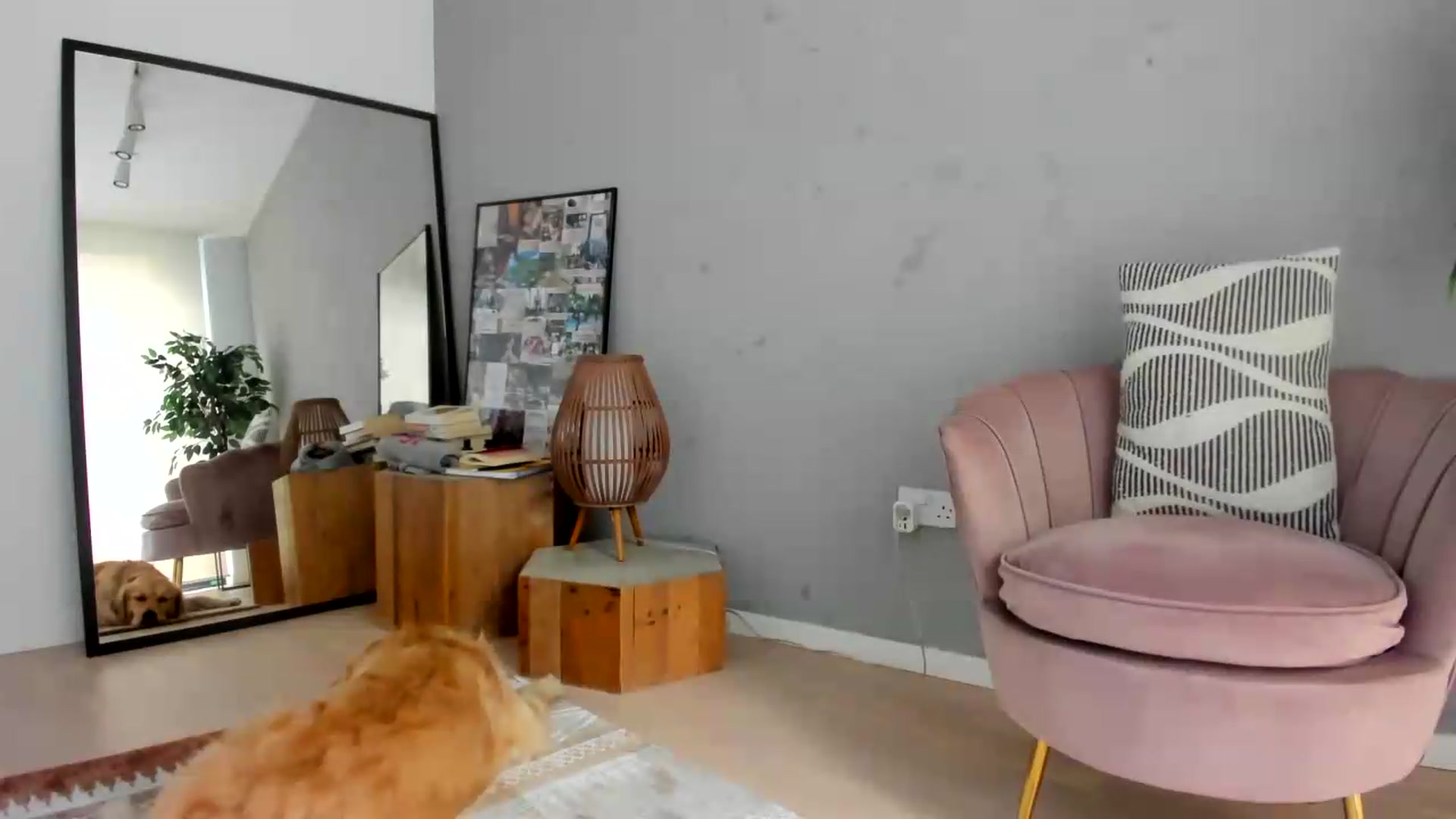Gallery image thumbnail from SerenDYpity's myfreecams stream on, 08/09/2026, 13:30 image 2 of 20