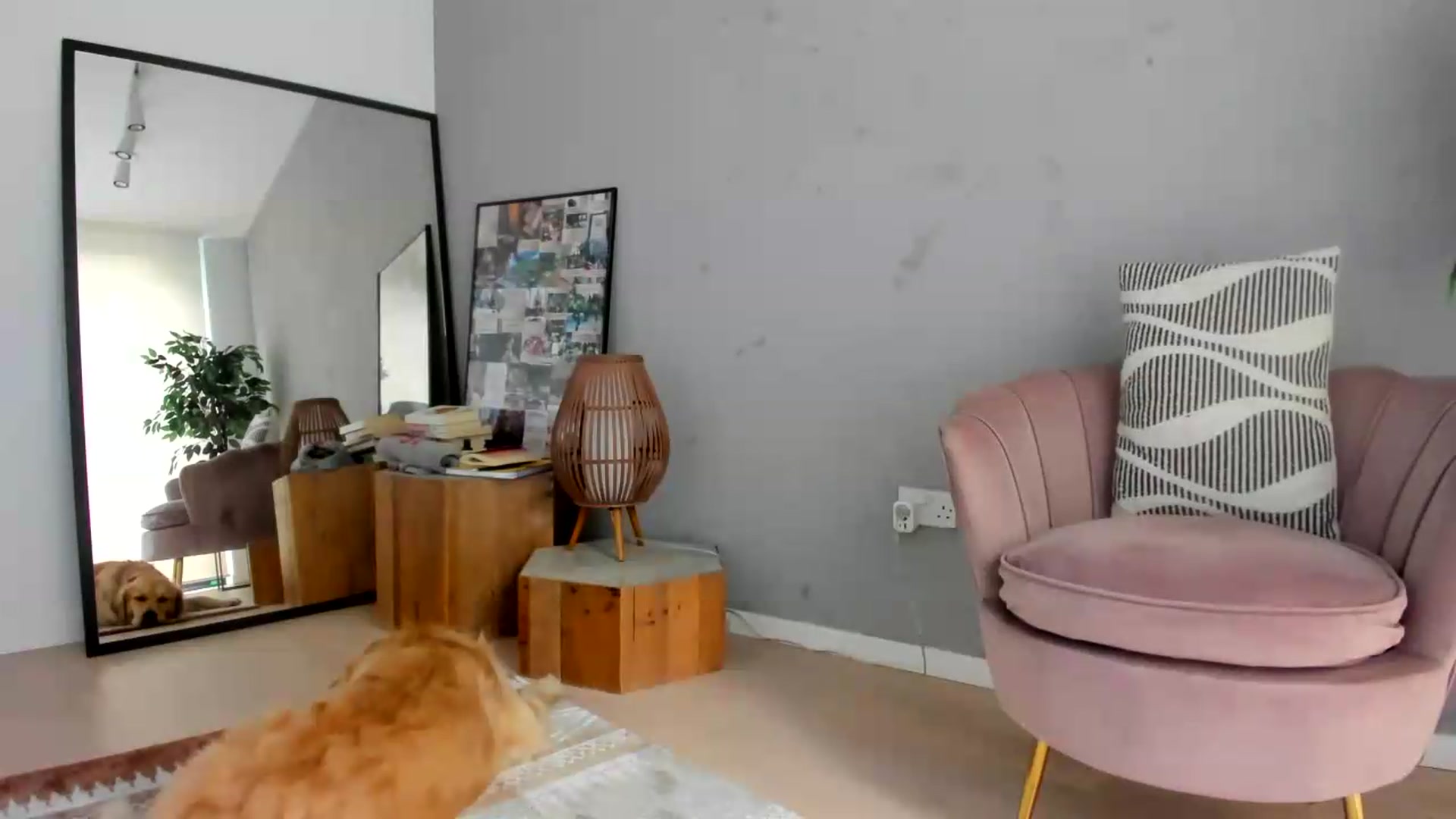 Gallery image thumbnail from SerenDYpity's myfreecams stream on, 08/09/2026, 13:30 image 3 of 20