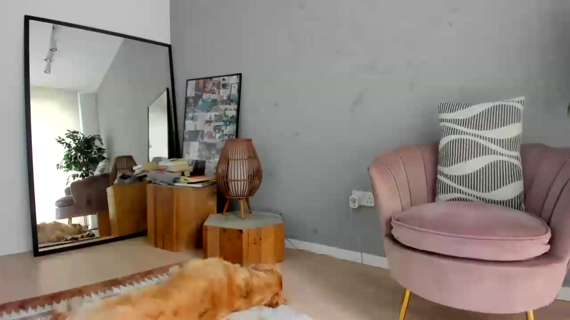 Gallery image thumbnail from SerenDYpity's myfreecams stream on, 08/09/2026, 13:30 image 7 of 20