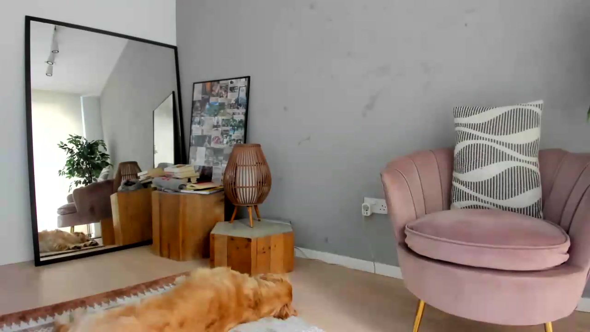 Gallery image thumbnail from SerenDYpity's myfreecams stream on, 08/09/2026, 13:30 image 4 of 20