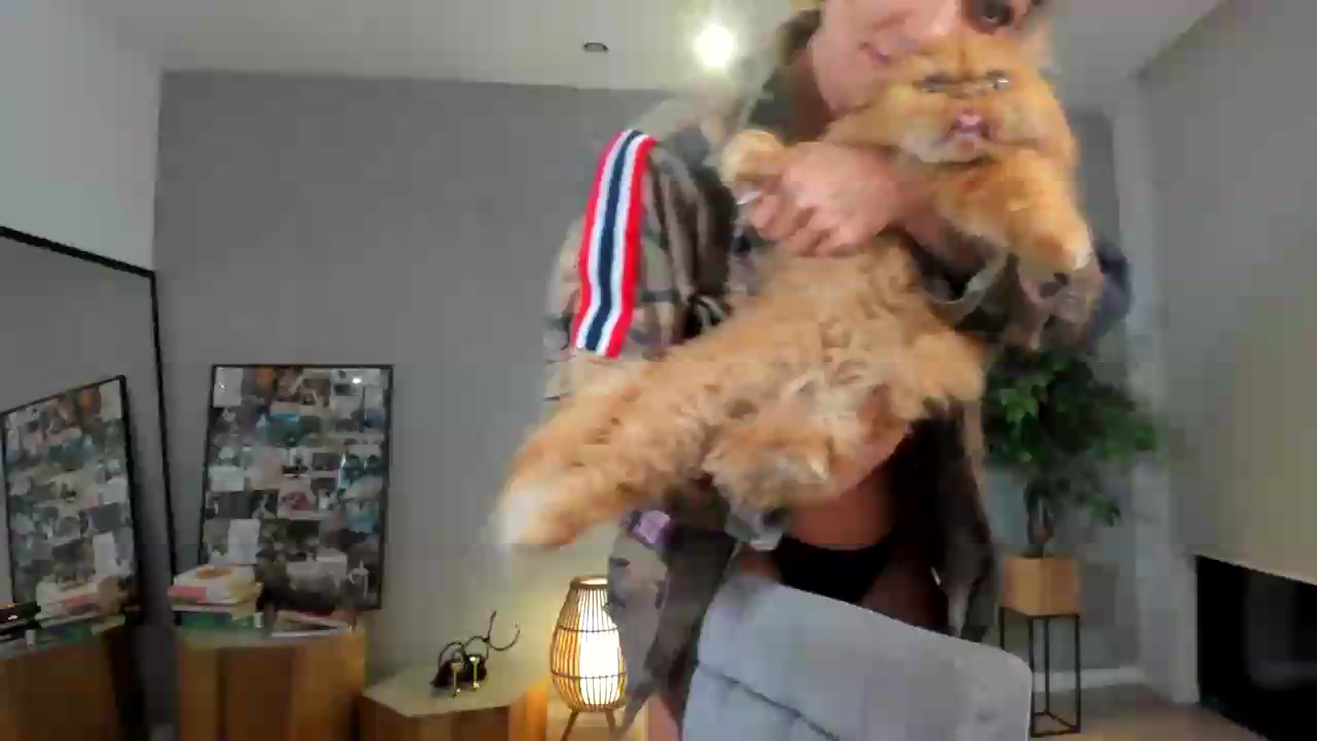 Gallery image thumbnail from SerenDYpity's myfreecams stream on, 08/12/2026, 20:17 image 1 of 20