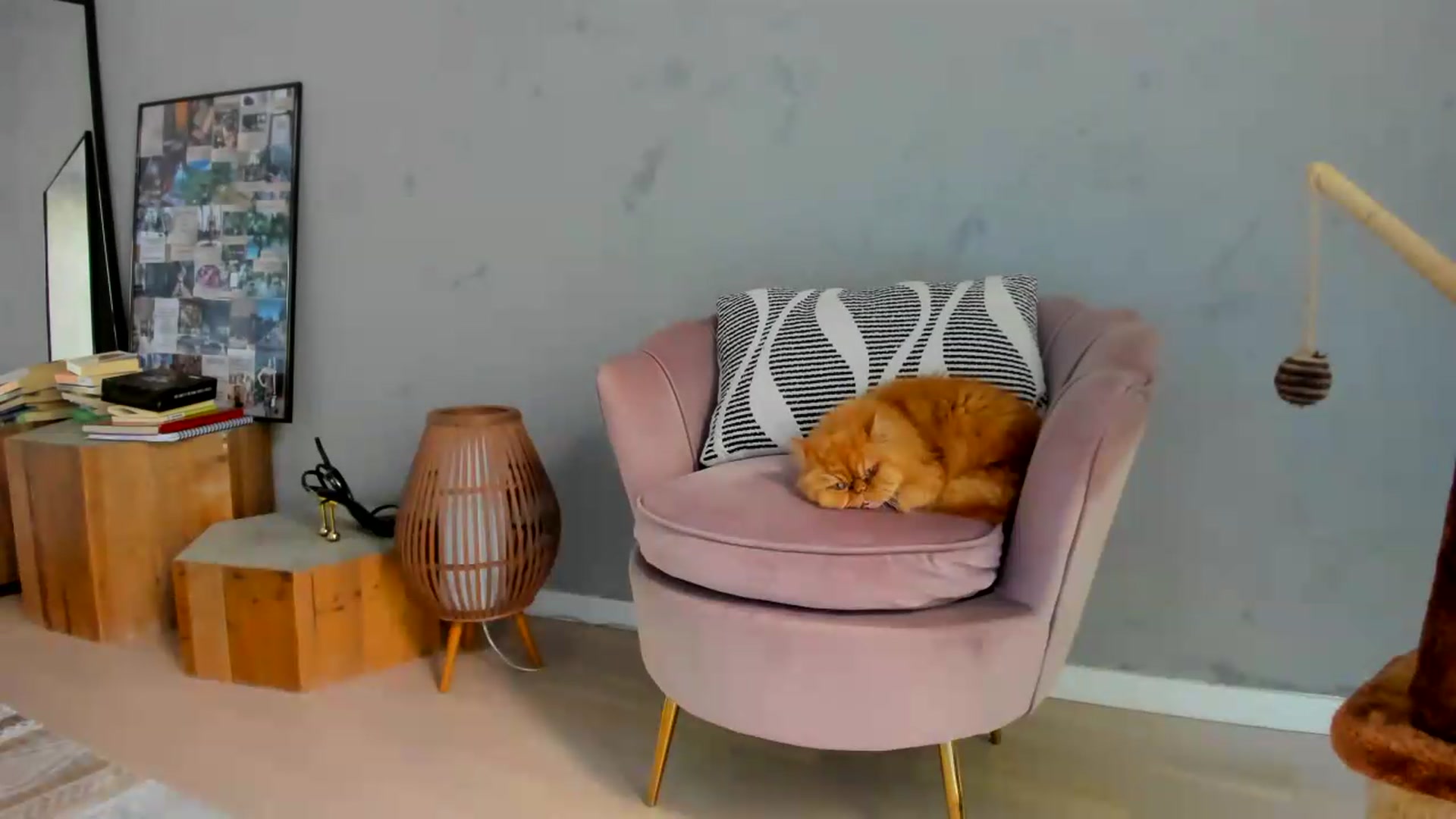 Gallery image thumbnail from SerenDYpity's myfreecams stream on, 08/14/2026, 14:59 image 6 of 20