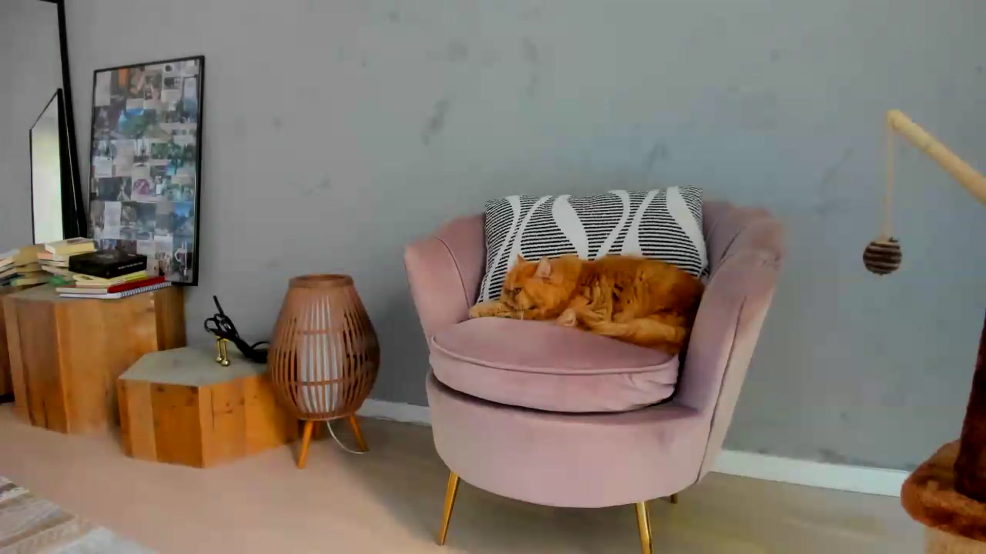 Gallery image thumbnail from SerenDYpity's myfreecams stream on, 08/14/2026, 14:59 image 2 of 20