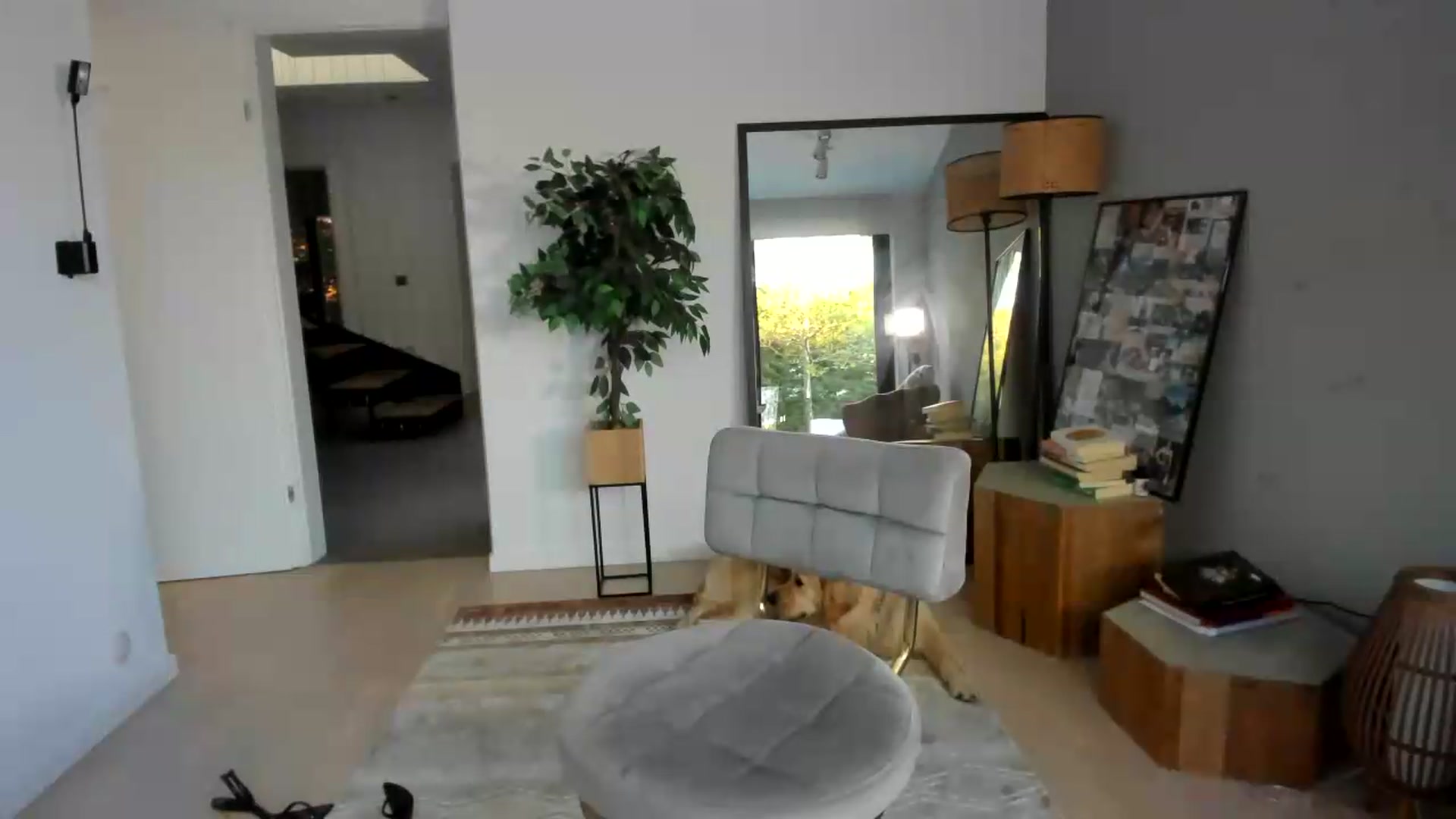 Gallery image thumbnail from SerenDYpity's myfreecams stream on, 08/16/2026, 17:01 image 13 of 20