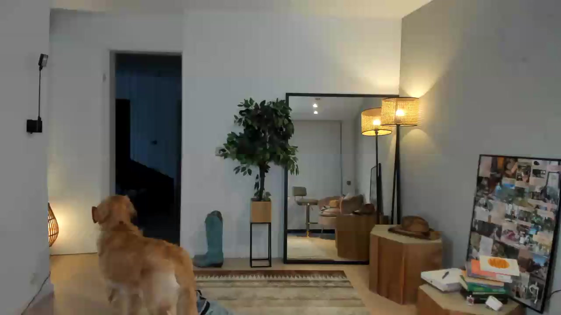 Gallery image thumbnail from SerenDYpity's myfreecams stream on, 08/19/2026, 17:31 image 20 of 20