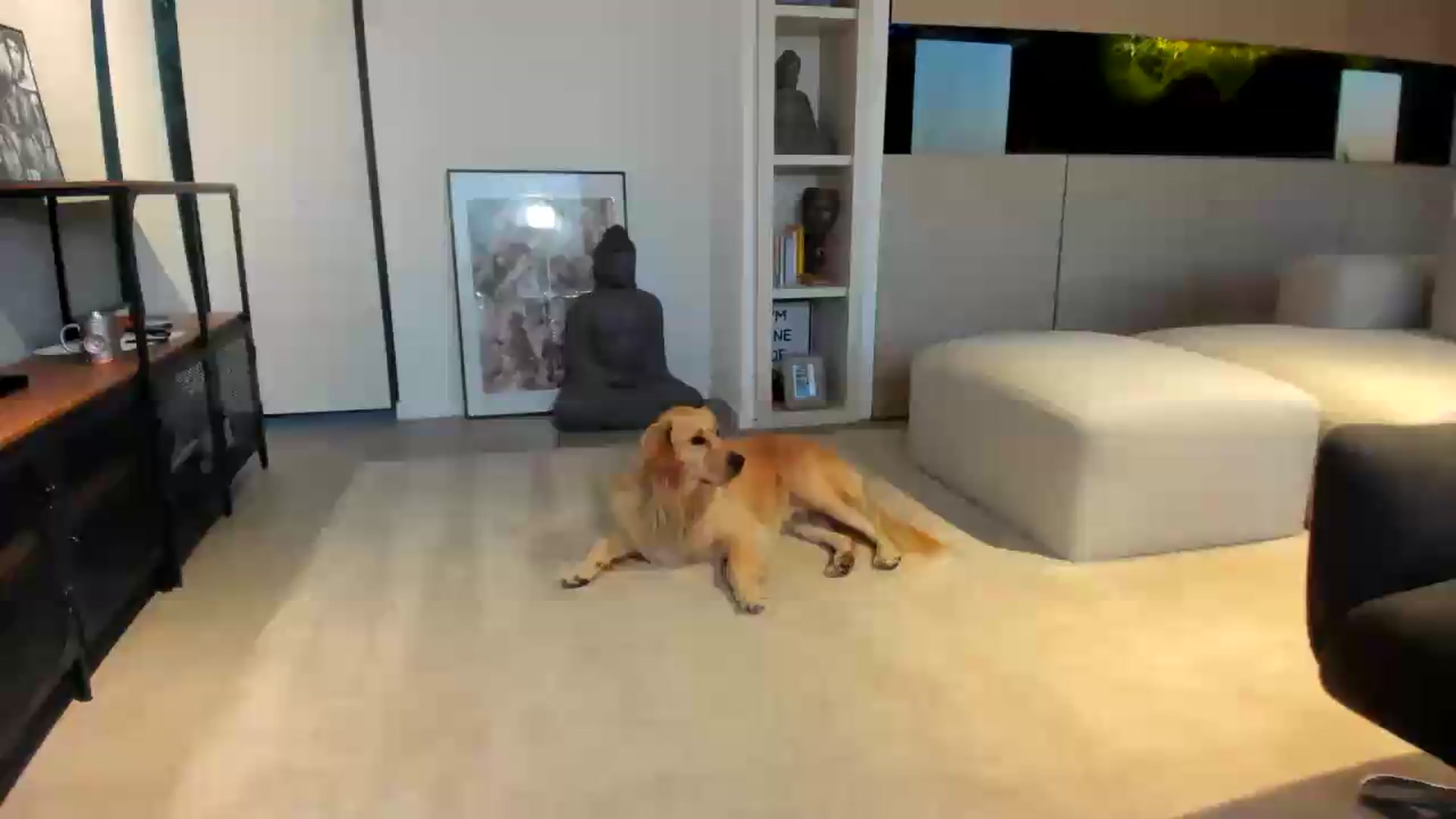 Gallery image thumbnail from SerenDYpity's myfreecams stream on, 09/09/2026, 17:09 image 17 of 20