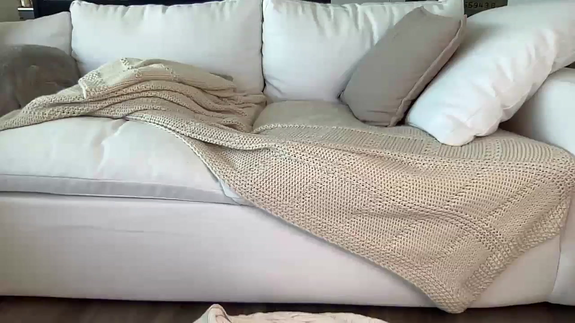 Gallery image thumbnail from SerenaBecker_'s myfreecams stream on, 03/28/2024, 21:17 image 15 of 20