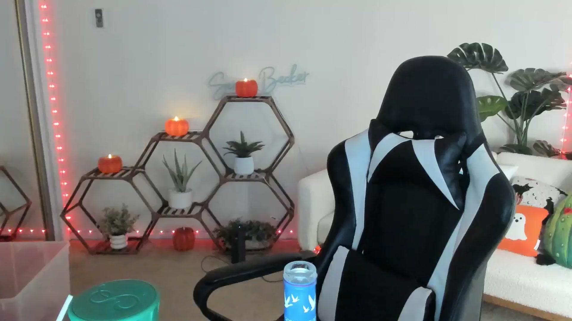 Gallery image thumbnail from SerenaBecker_'s myfreecams stream on, 10/01/2025, 03:29 image 19 of 20
