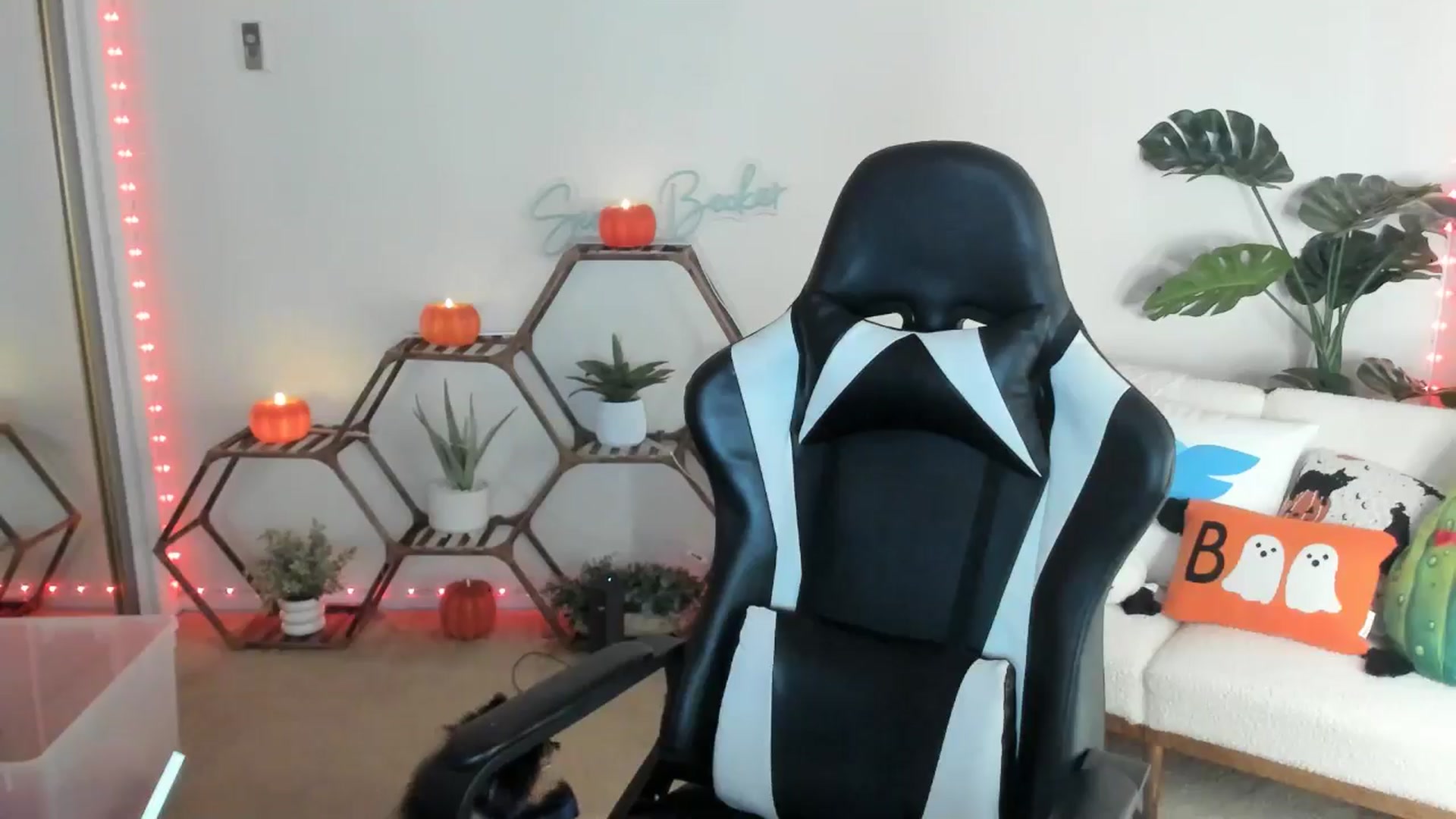 Gallery image thumbnail from SerenaBecker_'s myfreecams stream on, 10/01/2025, 03:29 image 17 of 20