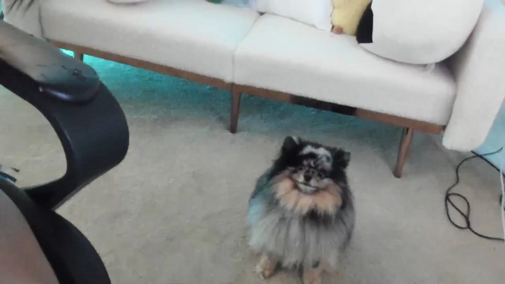 Gallery image thumbnail from SerenaBecker_'s myfreecams stream on, 11/04/2025, 05:17 image 4 of 20