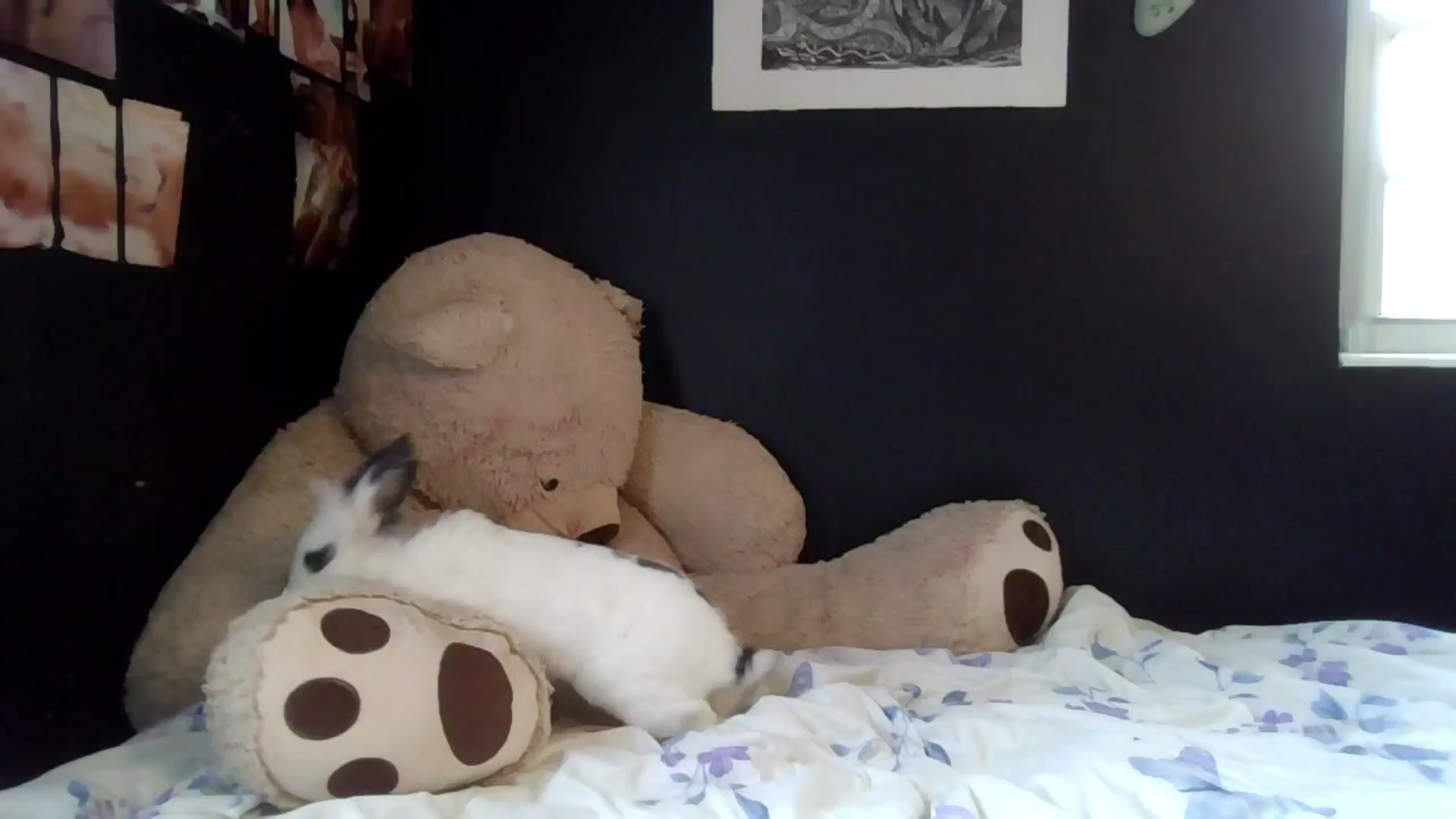 Gallery image thumbnail from SerenaSin's myfreecams stream on, 09/14/2024, 18:06 image 11 of 20