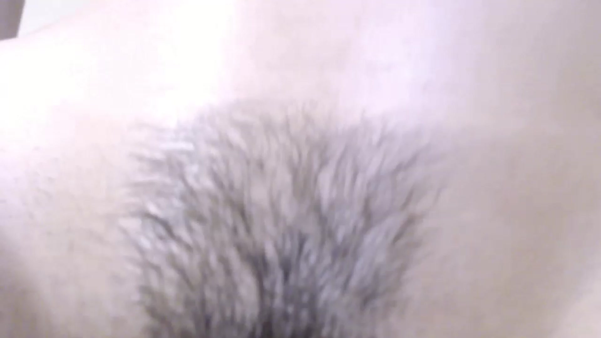 Gallery image thumbnail from Serena_Kiss's myfreecams stream on, 02/24/2023, 17:37 image 17 of 20