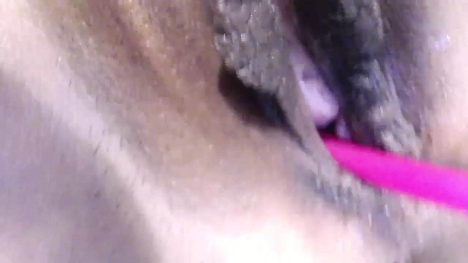 Gallery image thumbnail from Serena_Kiss's myfreecams stream on, 05/27/2023, 17:45 image 13 of 20
