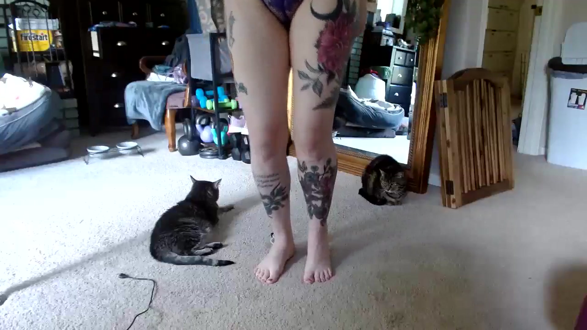 Gallery image thumbnail from Serenity's myfreecams stream on, 05/22/2024, 22:41 image 19 of 20