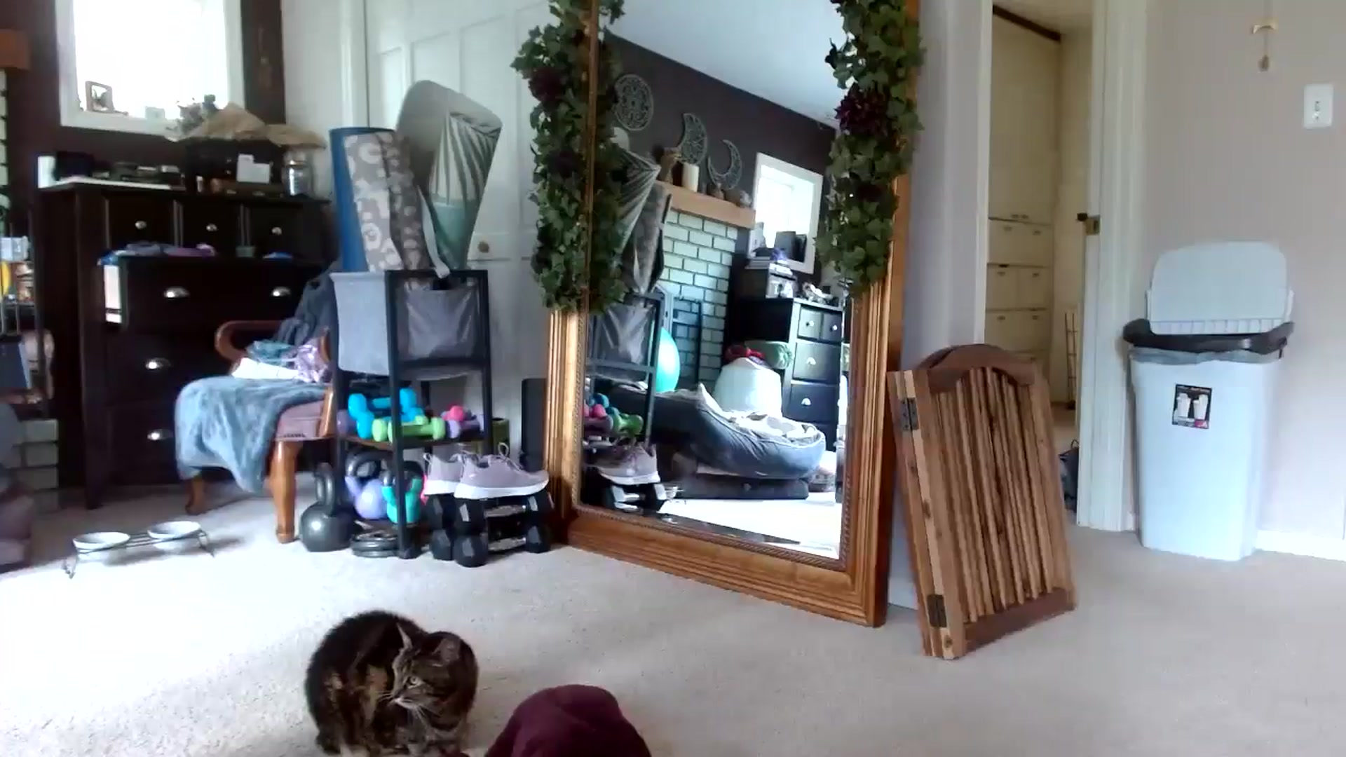 Gallery image thumbnail from Serenity's myfreecams stream on, 05/22/2024, 22:41 image 12 of 20