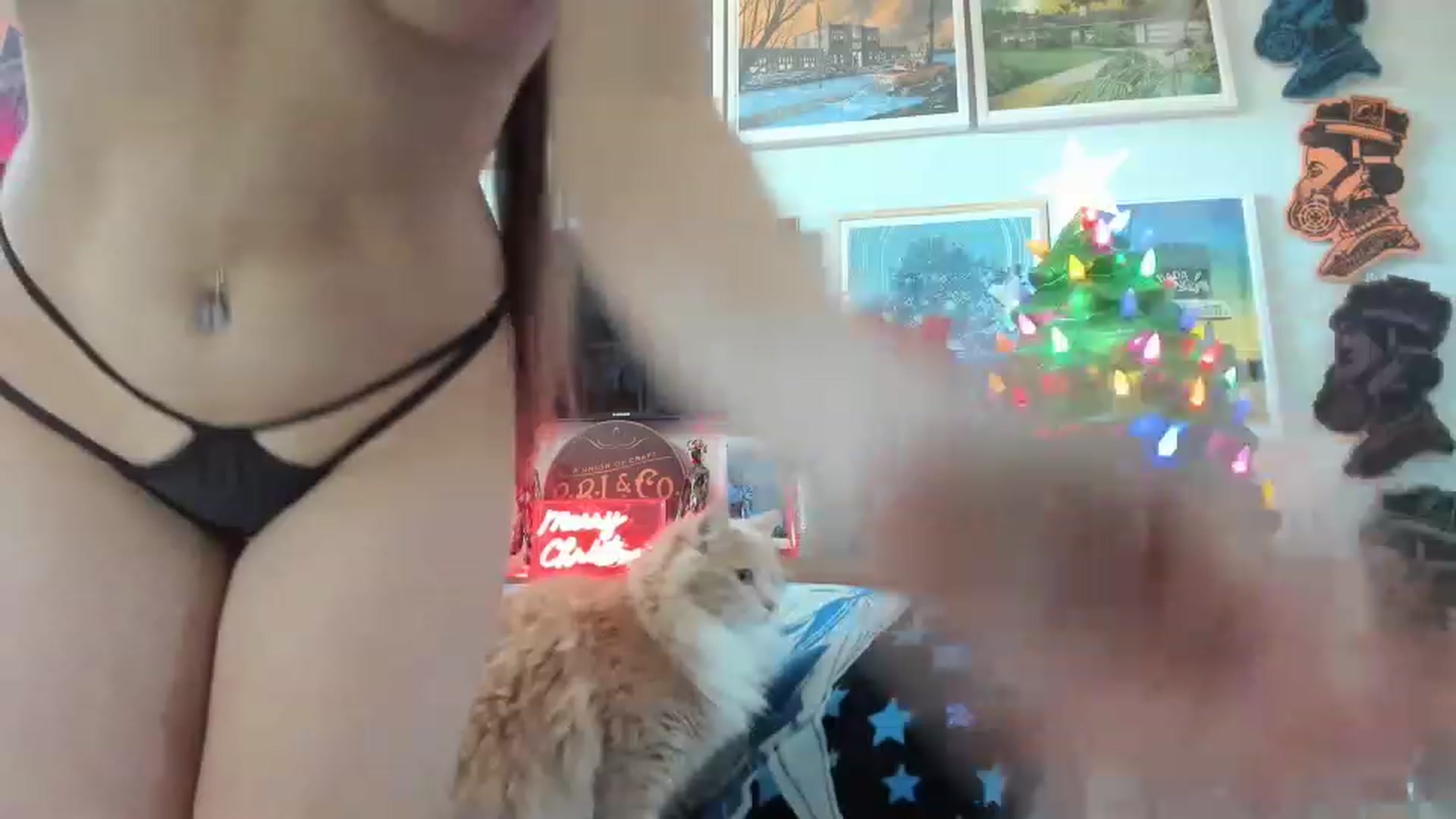 Gallery image thumbnail from Serina_'s myfreecams stream on, 12/24/2022, 19:29 image 17 of 20