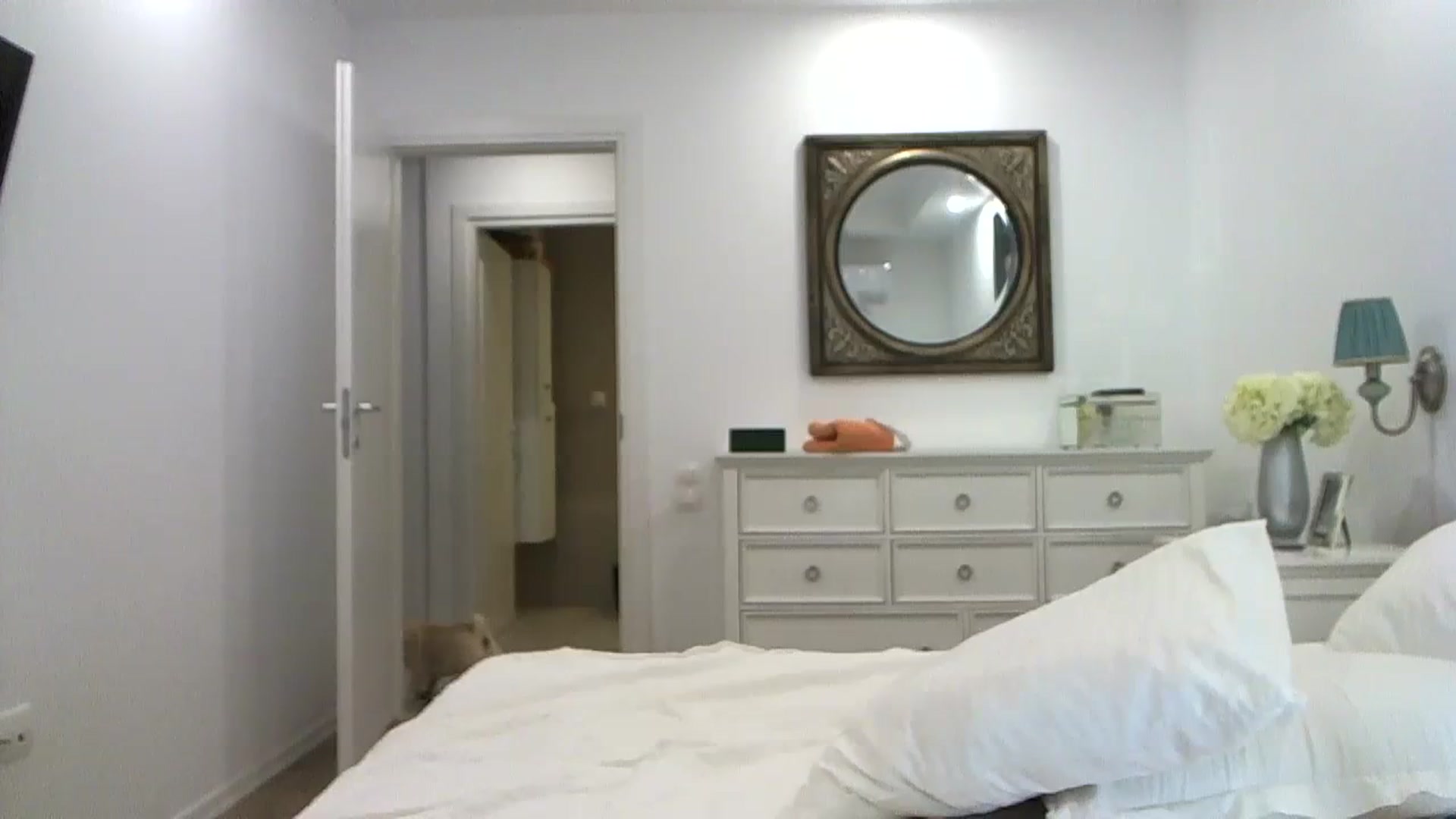 Gallery image thumbnail from Sexxy_____'s myfreecams stream on, 08/07/2023, 21:32 image 20 of 20
