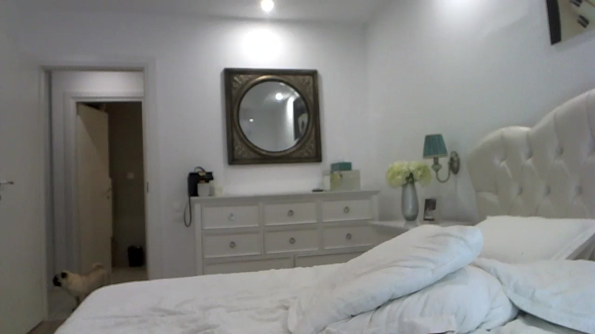 Gallery image thumbnail from Sexxy_____'s myfreecams stream on, 11/20/2023, 21:02 image 18 of 20