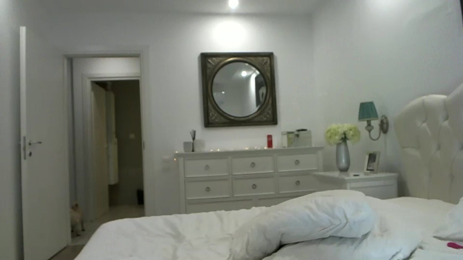 Gallery image thumbnail from Sexxy_____'s myfreecams stream on, 12/26/2023, 21:19 image 16 of 20