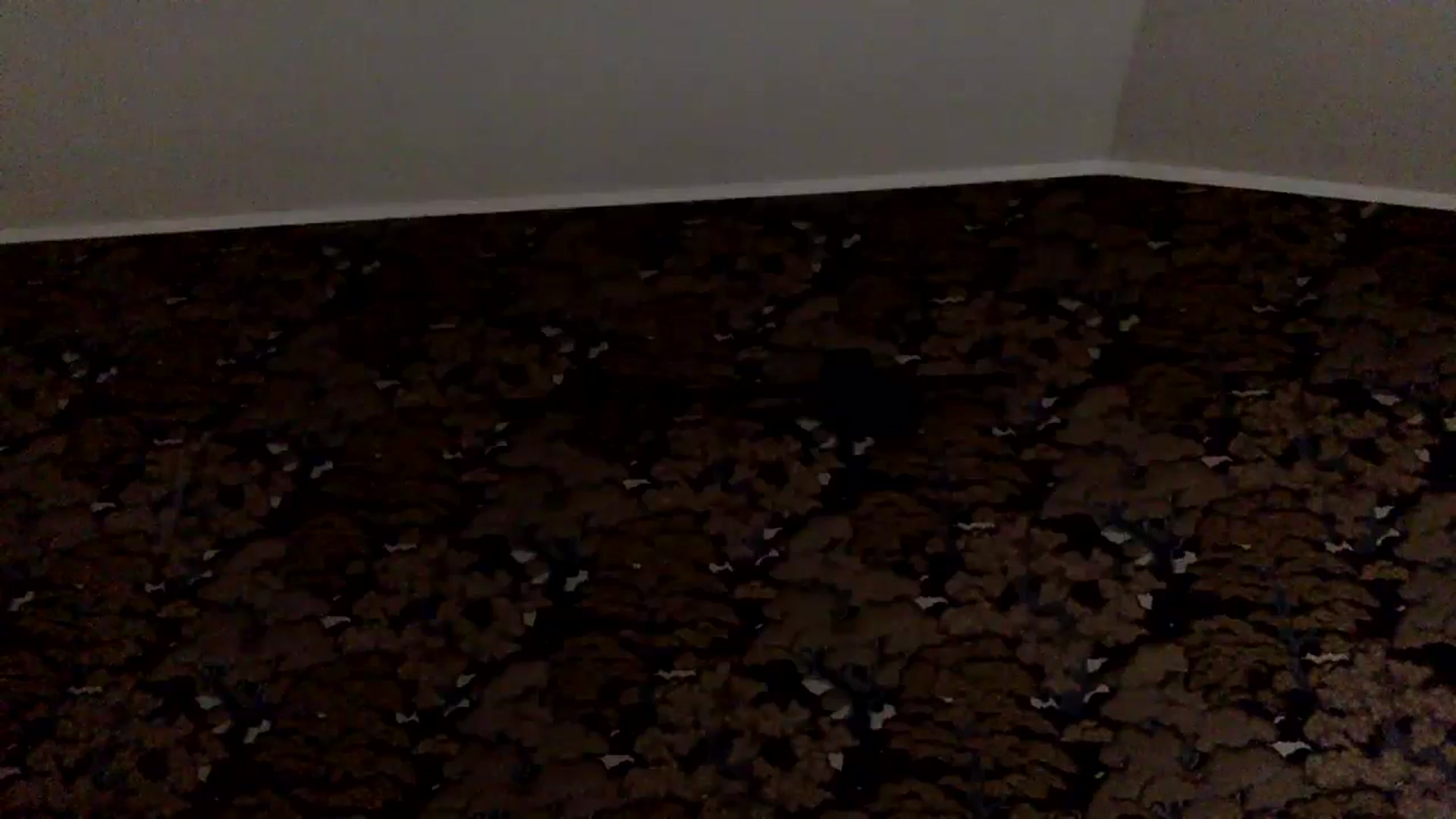 Gallery image thumbnail from Sexxy_____'s myfreecams stream on, 06/25/2024, 11:41 image 20 of 20
