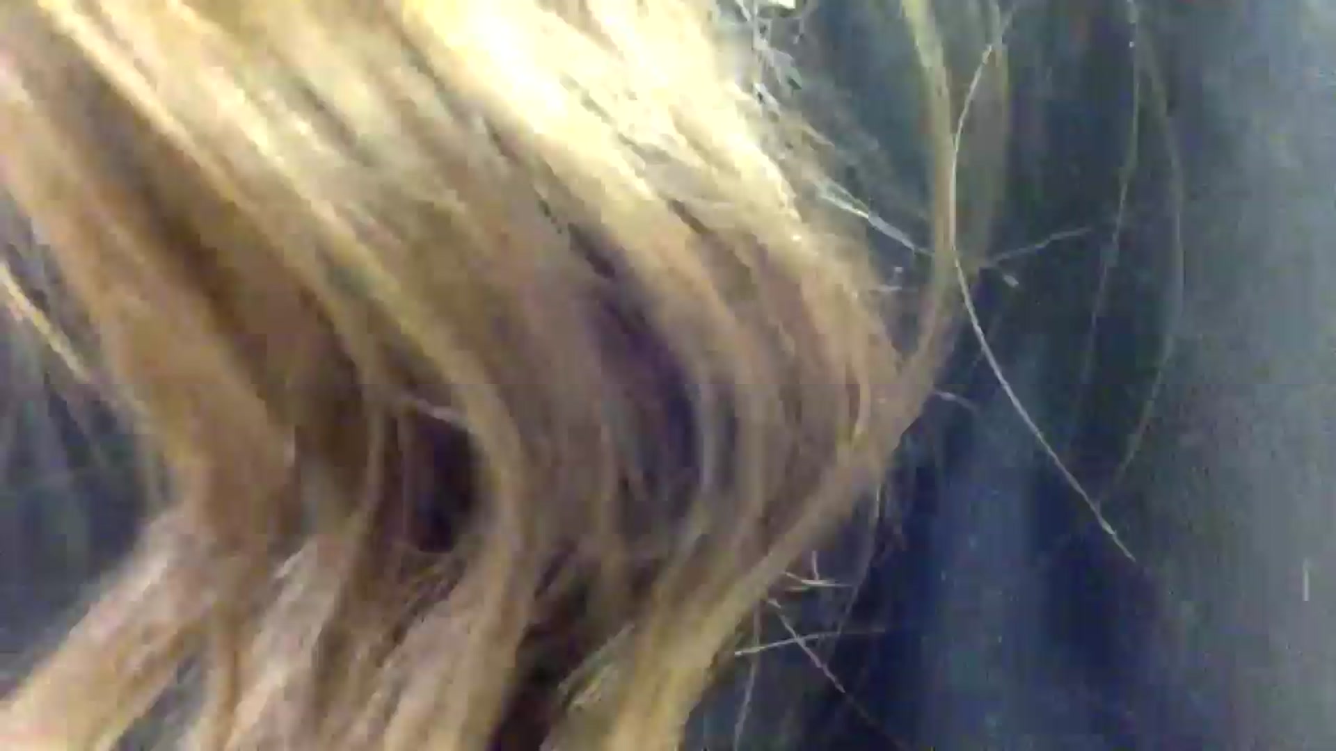 Gallery image thumbnail from Sexxy_____'s myfreecams stream on, 11/23/2024, 11:16 image 1 of 20