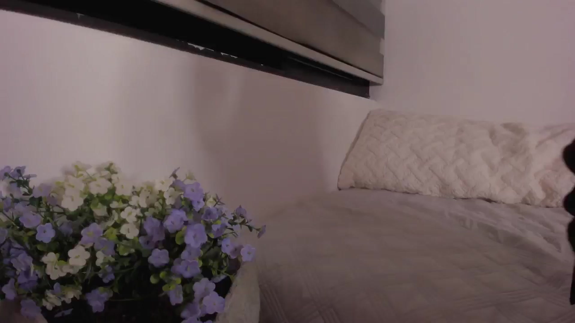 Gallery image thumbnail from Sexxygirl18x's myfreecams stream on, 10/02/2024, 24:37 image 18 of 20