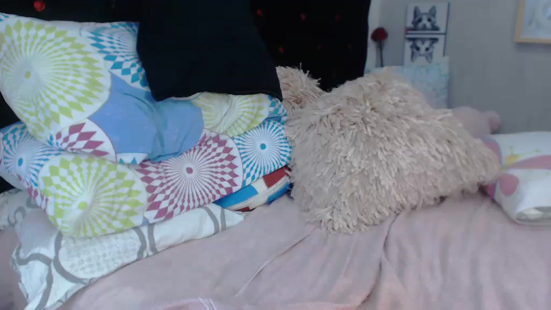 Gallery image thumbnail from SexyAlexaX's myfreecams stream on, 11/18/2022, 15:50 image 8 of 20