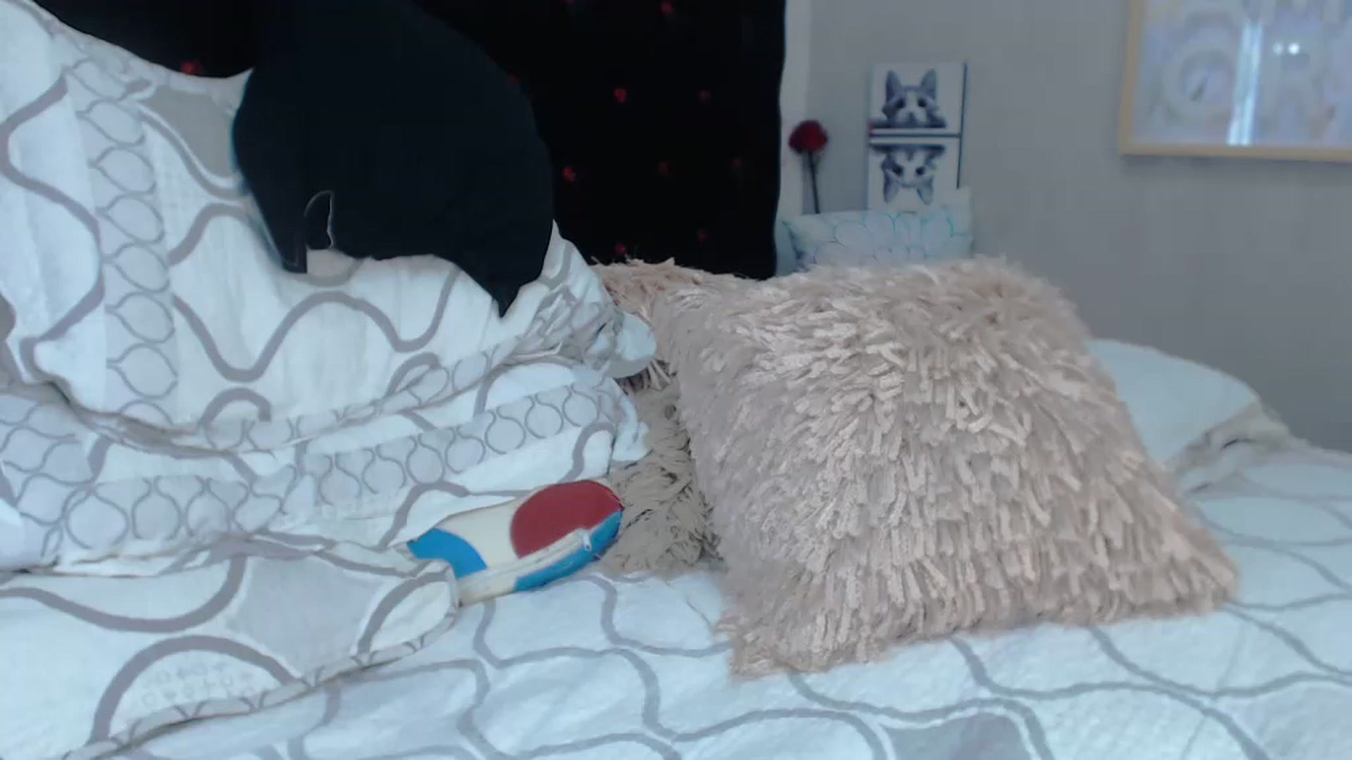 Gallery image thumbnail from SexyAlexaX's myfreecams stream on, 11/19/2022, 15:53 image 4 of 20