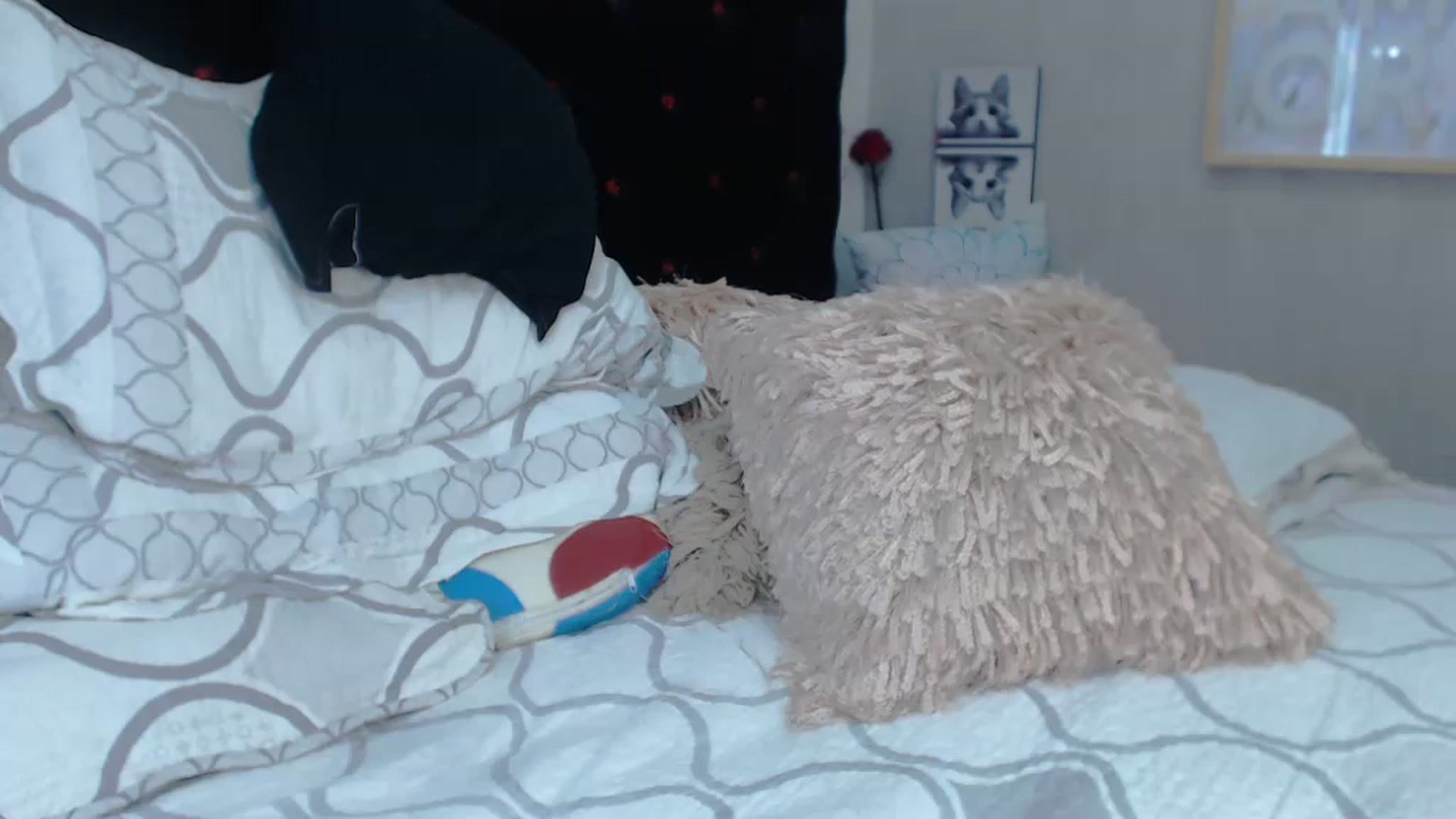 Gallery image thumbnail from SexyAlexaX's myfreecams stream on, 11/19/2022, 15:53 image 13 of 20
