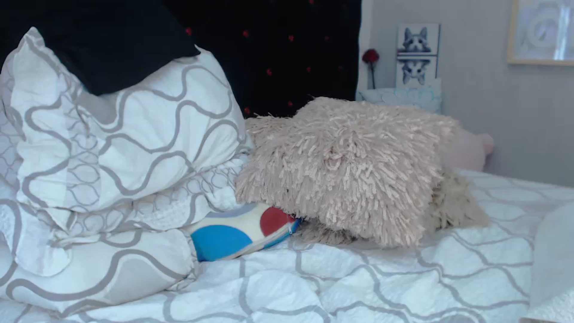 Gallery image thumbnail from SexyAlexaX's myfreecams stream on, 11/19/2022, 18:34 image 16 of 20