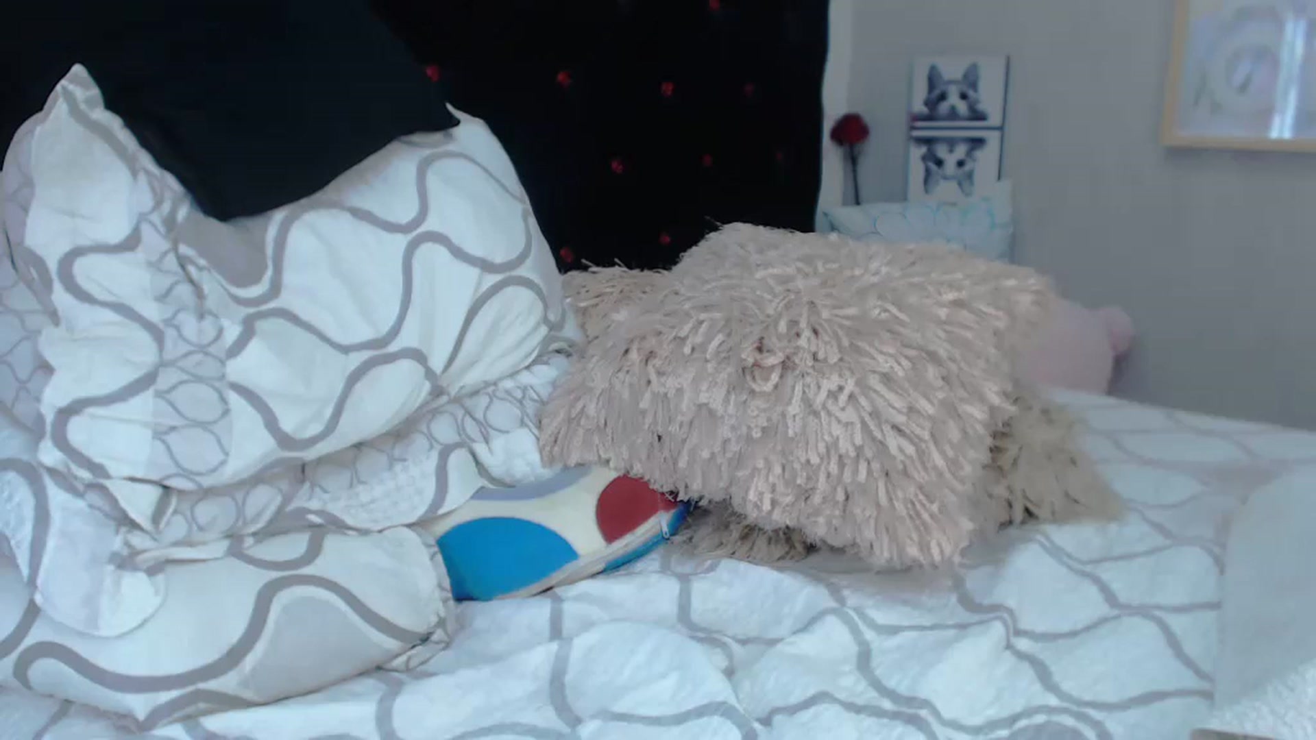 Gallery image thumbnail from SexyAlexaX's myfreecams stream on, 11/19/2022, 18:34 image 14 of 20