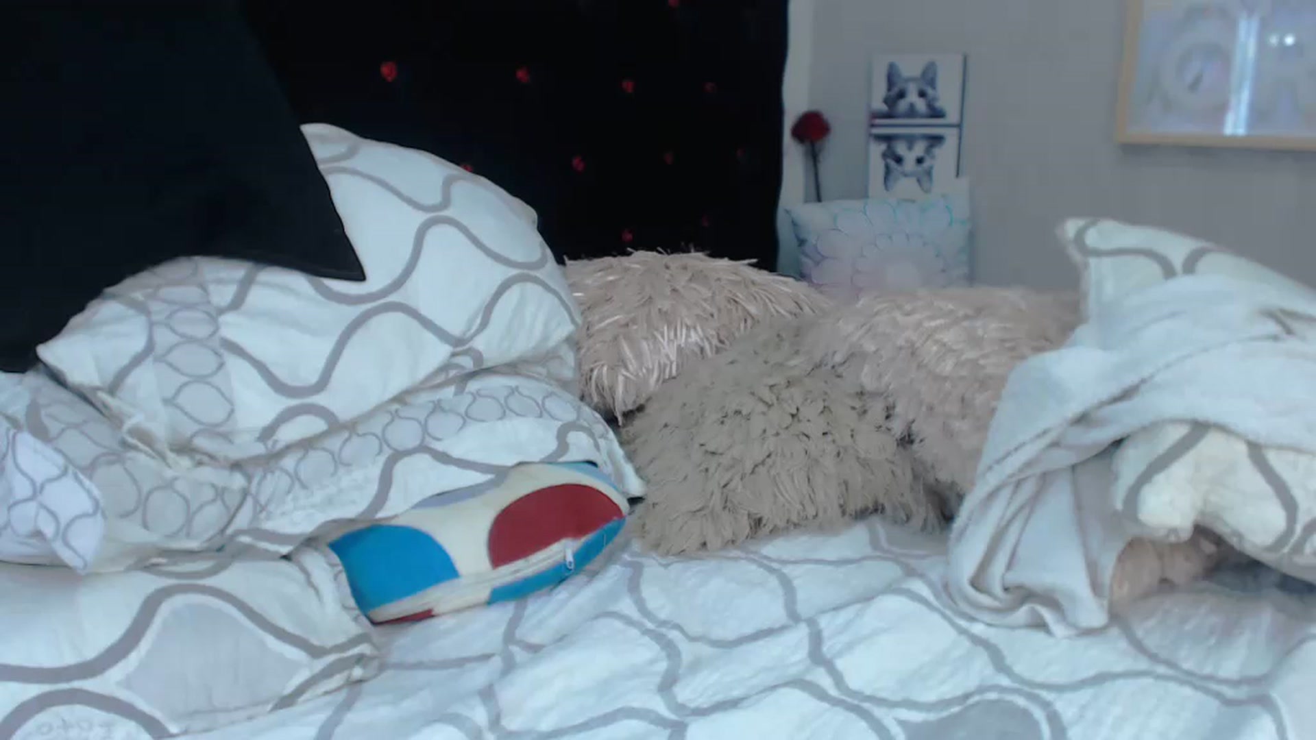 Gallery image thumbnail from SexyAlexaX's myfreecams stream on, 11/19/2022, 18:34 image 6 of 20