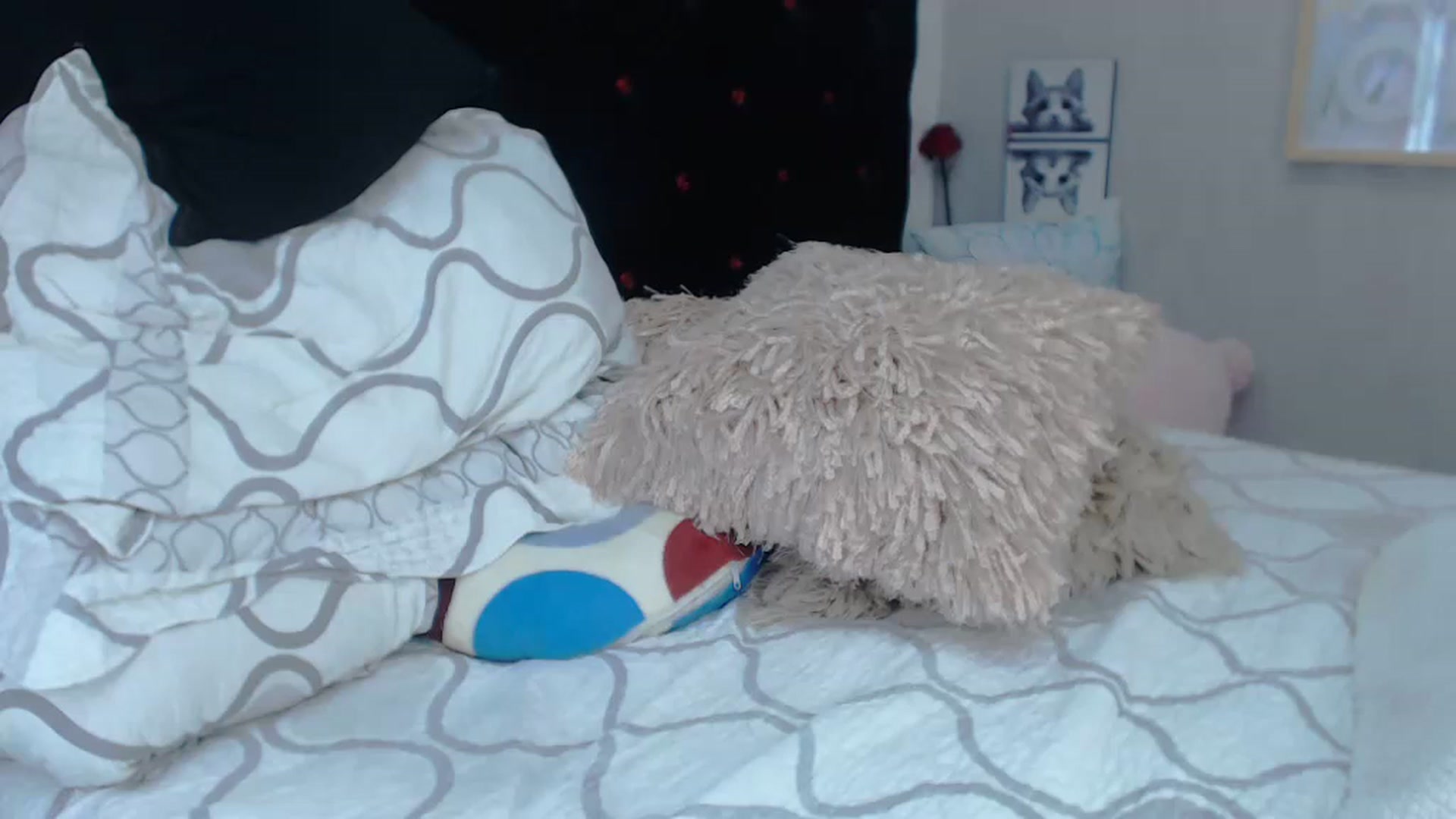 Gallery image thumbnail from SexyAlexaX's myfreecams stream on, 11/19/2022, 18:34 image 18 of 20