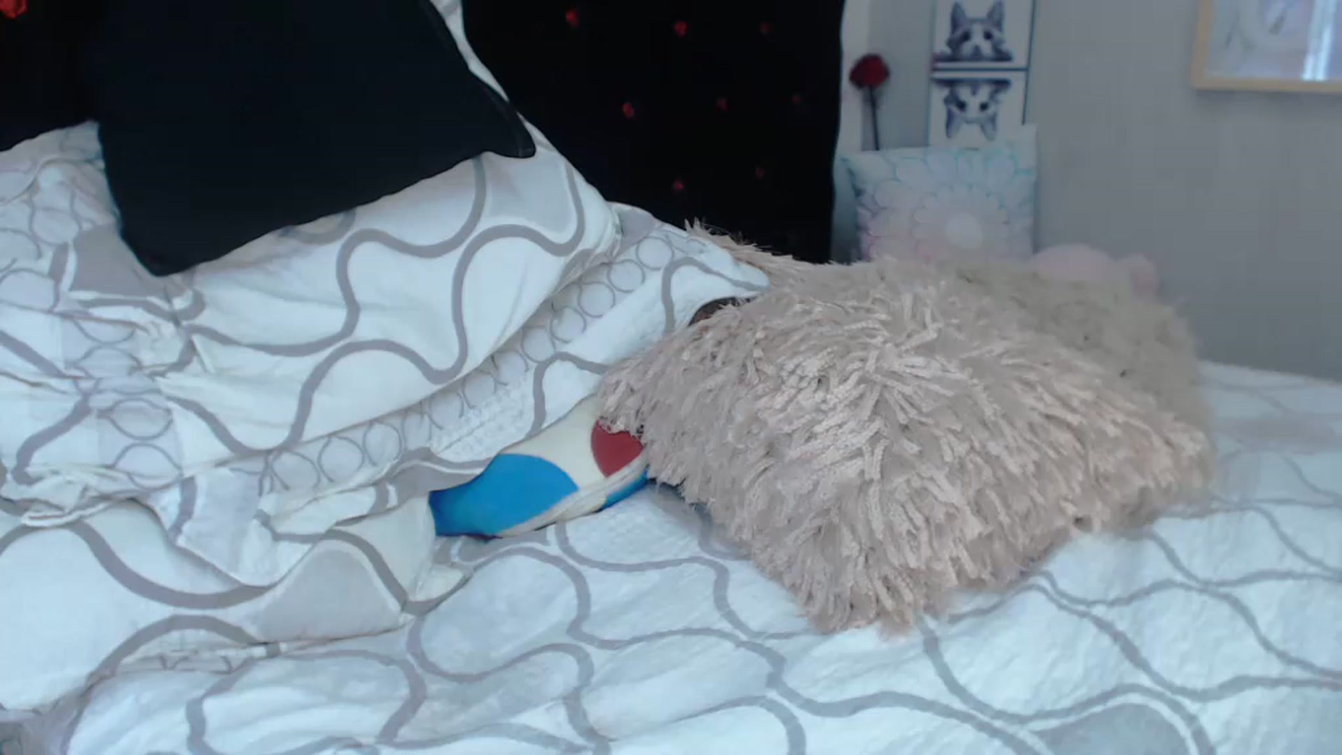 Gallery image thumbnail from SexyAlexaX's myfreecams stream on, 11/19/2022, 22:23 image 18 of 20