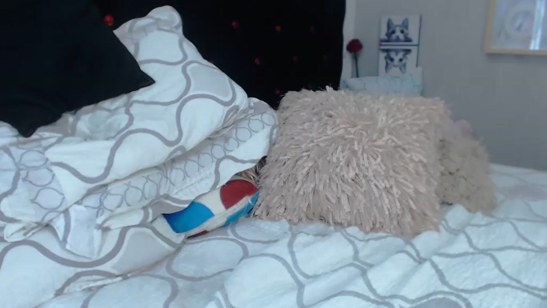Gallery image thumbnail from SexyAlexaX's myfreecams stream on, 11/19/2022, 22:23 image 1 of 20