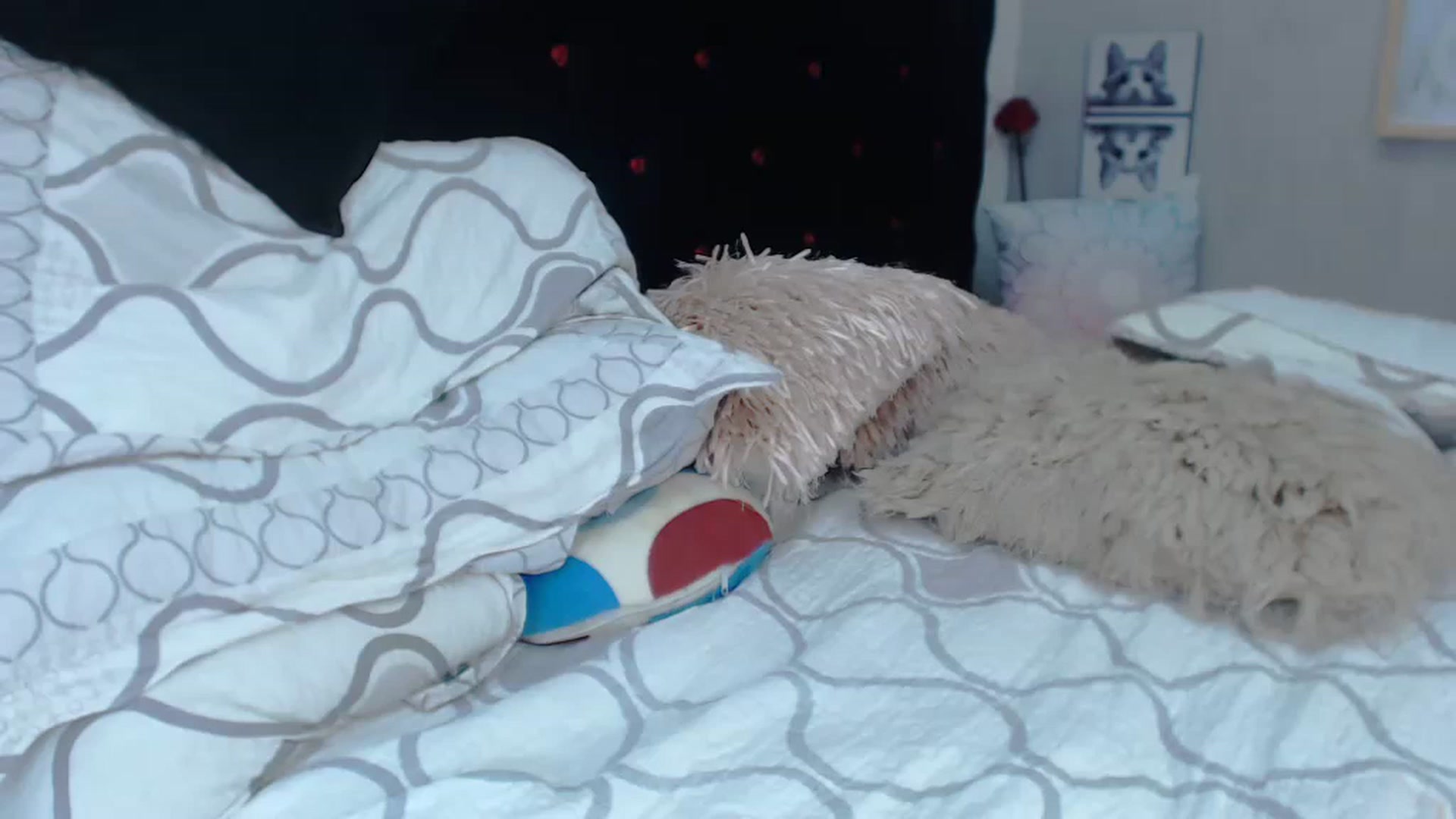 Gallery image thumbnail from SexyAlexaX's myfreecams stream on, 11/21/2022, 16:29 image 4 of 20