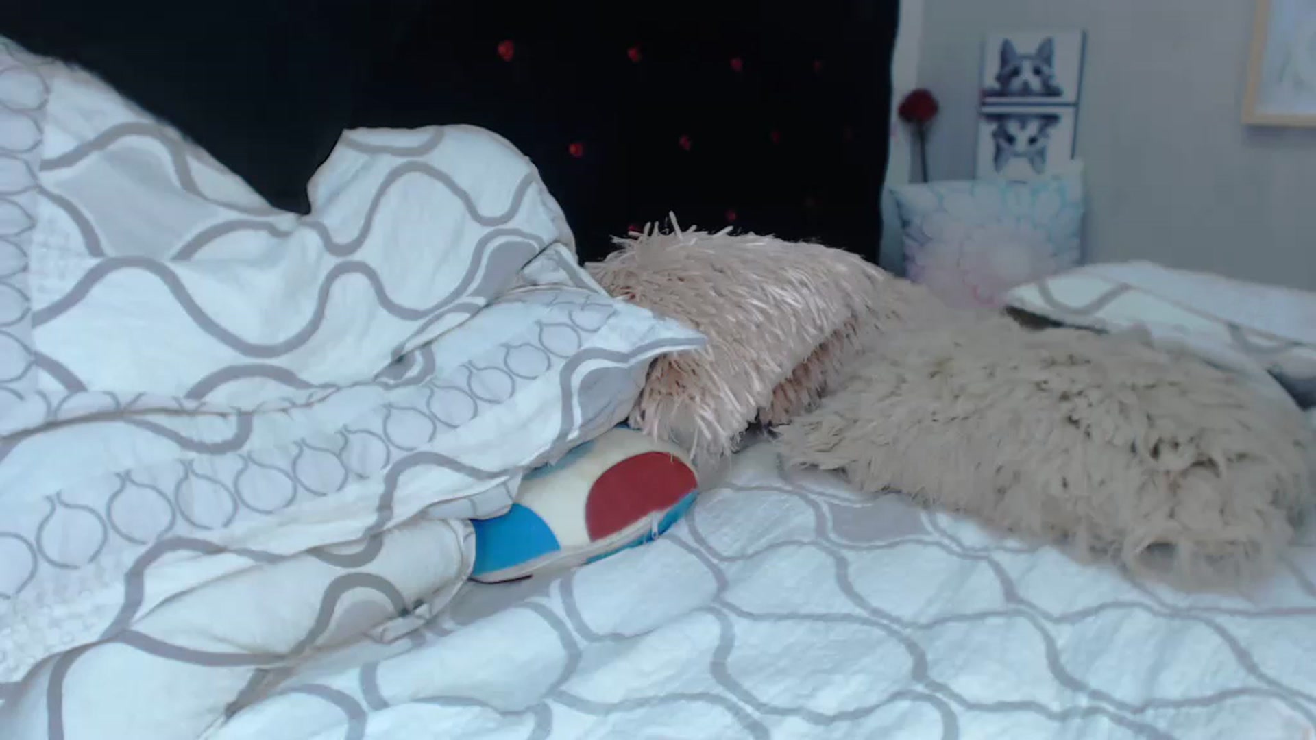 Gallery image thumbnail from SexyAlexaX's myfreecams stream on, 11/21/2022, 16:29 image 5 of 20