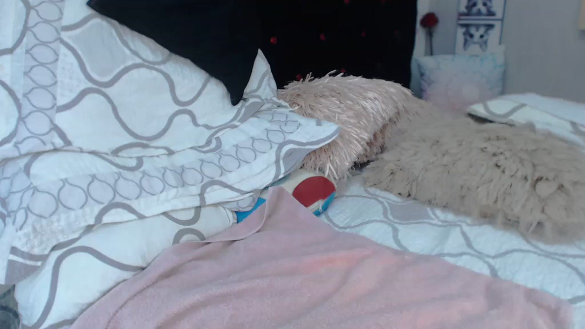 Gallery image thumbnail from SexyAlexaX's myfreecams stream on, 11/21/2022, 16:29 image 19 of 20