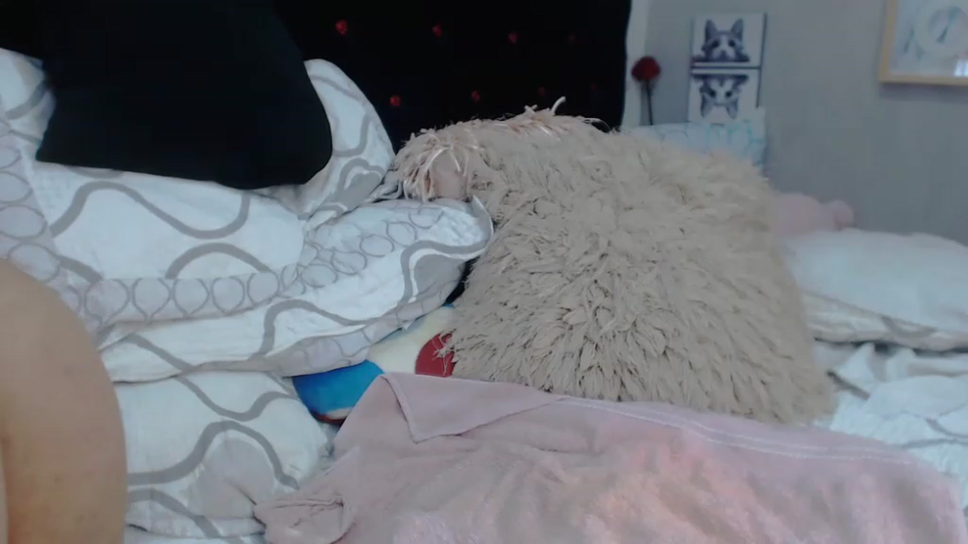 Gallery image thumbnail from SexyAlexaX's myfreecams stream on, 11/21/2022, 17:34 image 12 of 20