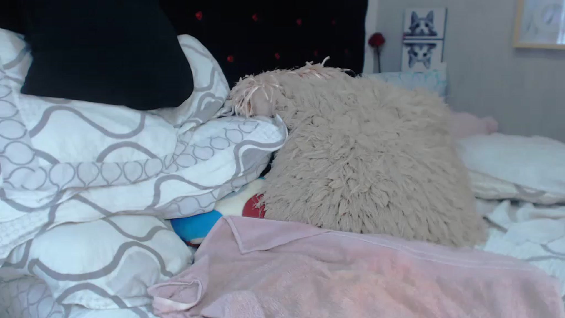 Gallery image thumbnail from SexyAlexaX's myfreecams stream on, 11/21/2022, 17:34 image 14 of 20