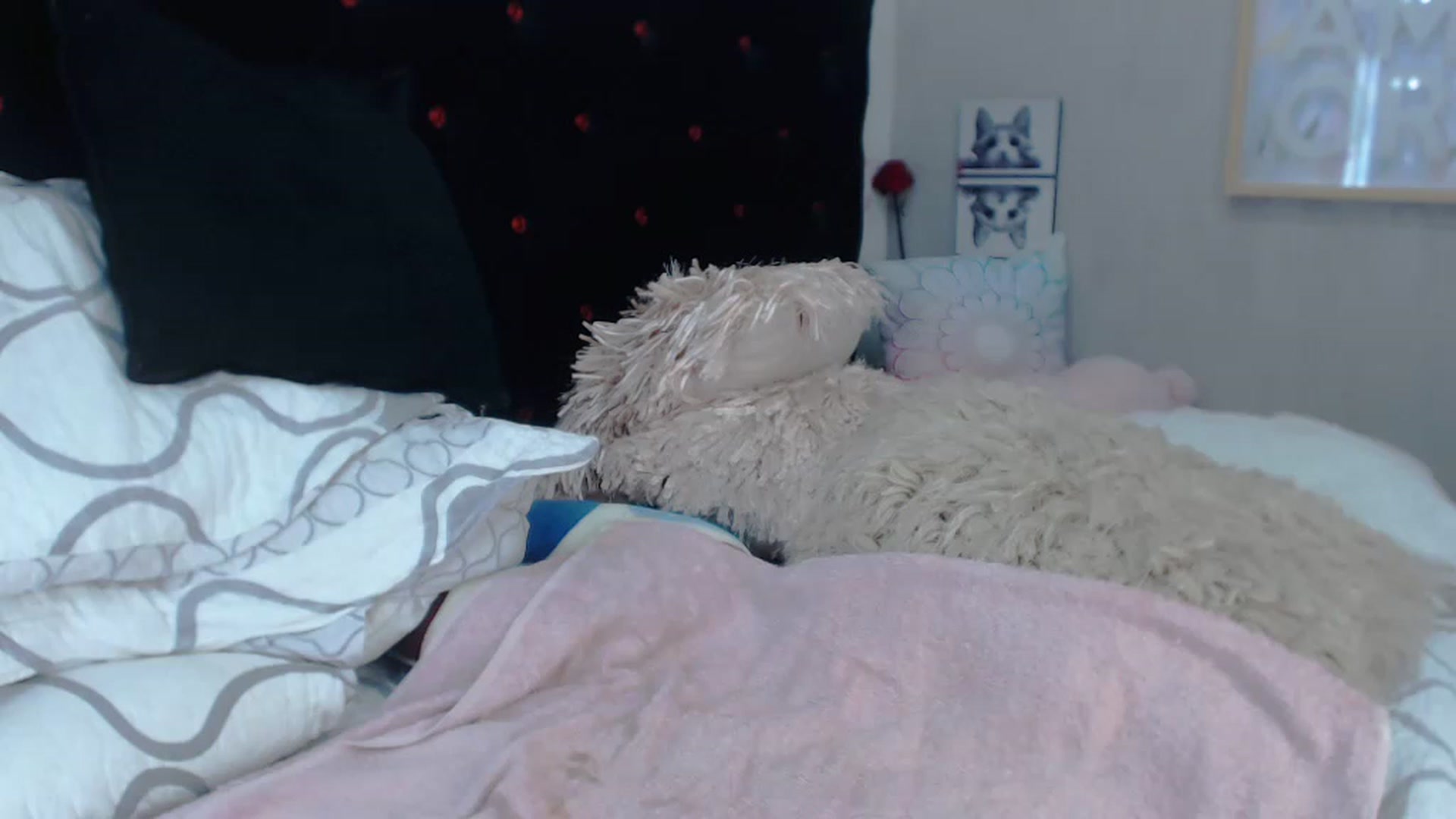 Gallery image thumbnail from SexyAlexaX's myfreecams stream on, 11/21/2022, 21:24 image 6 of 20