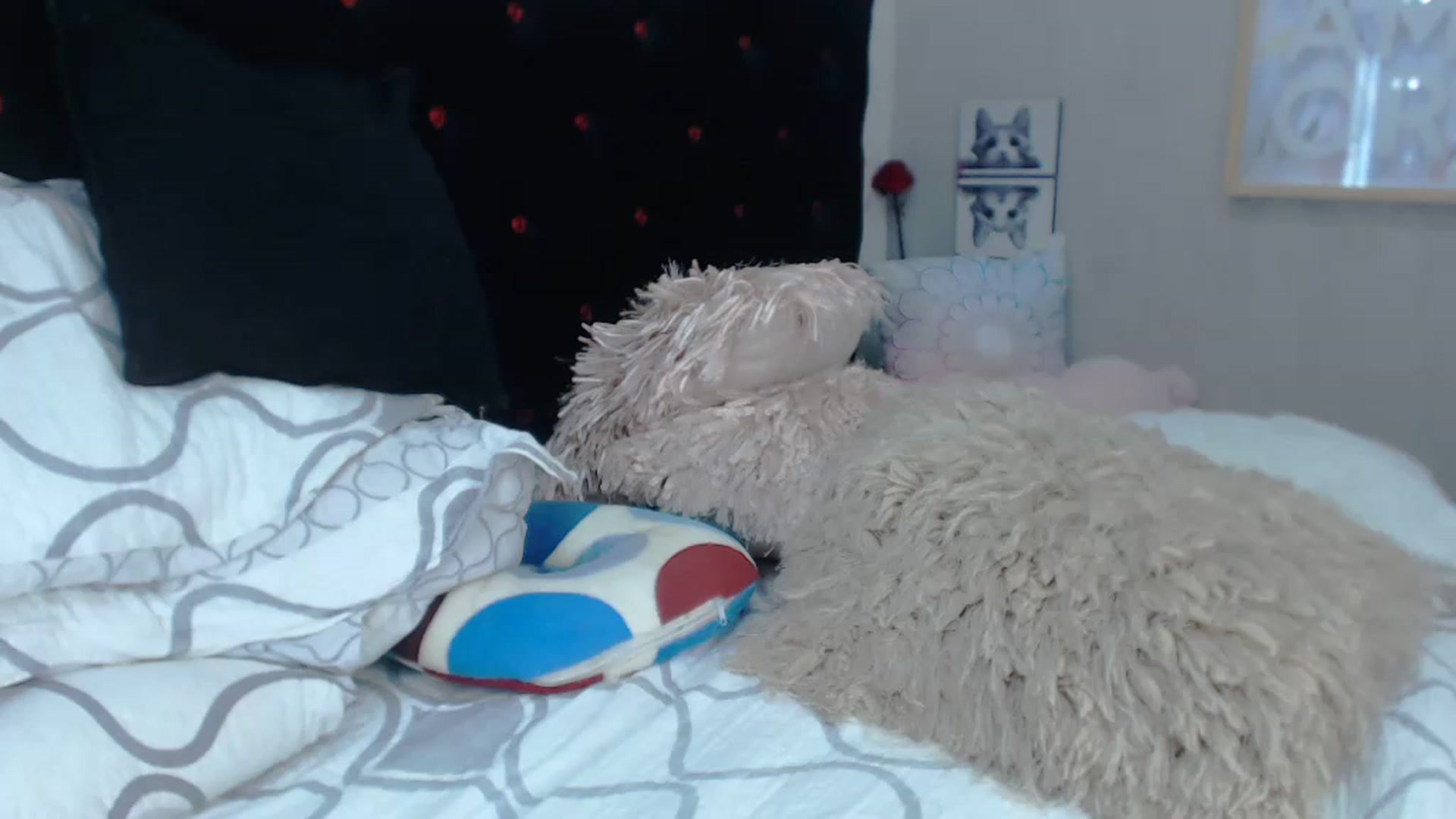 Gallery image thumbnail from SexyAlexaX's myfreecams stream on, 11/21/2022, 21:24 image 1 of 20